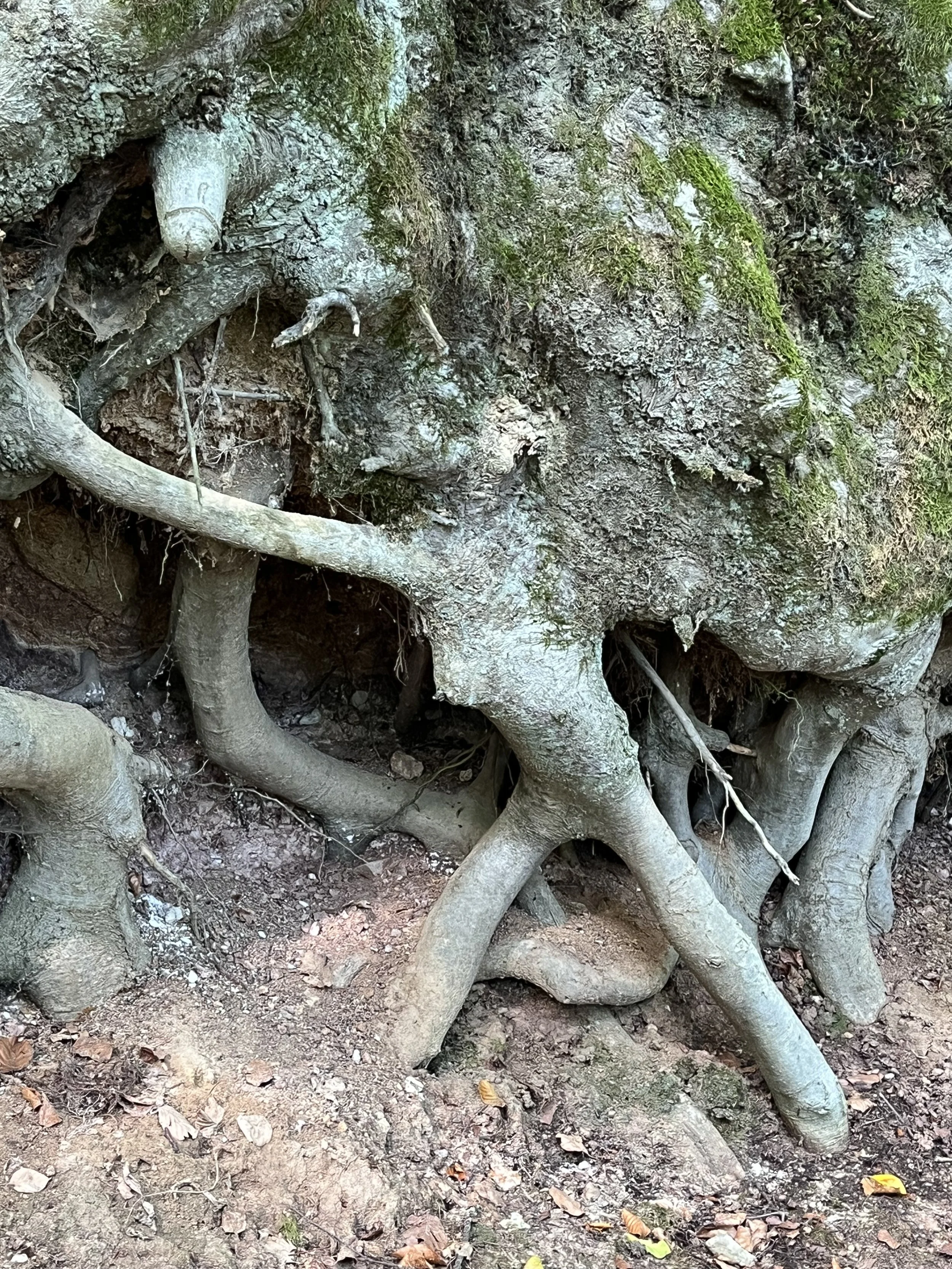 GesundheitsRaum_amLebensFLuss