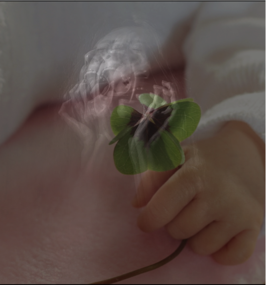 GesundheitsRaum_amLebensFluss