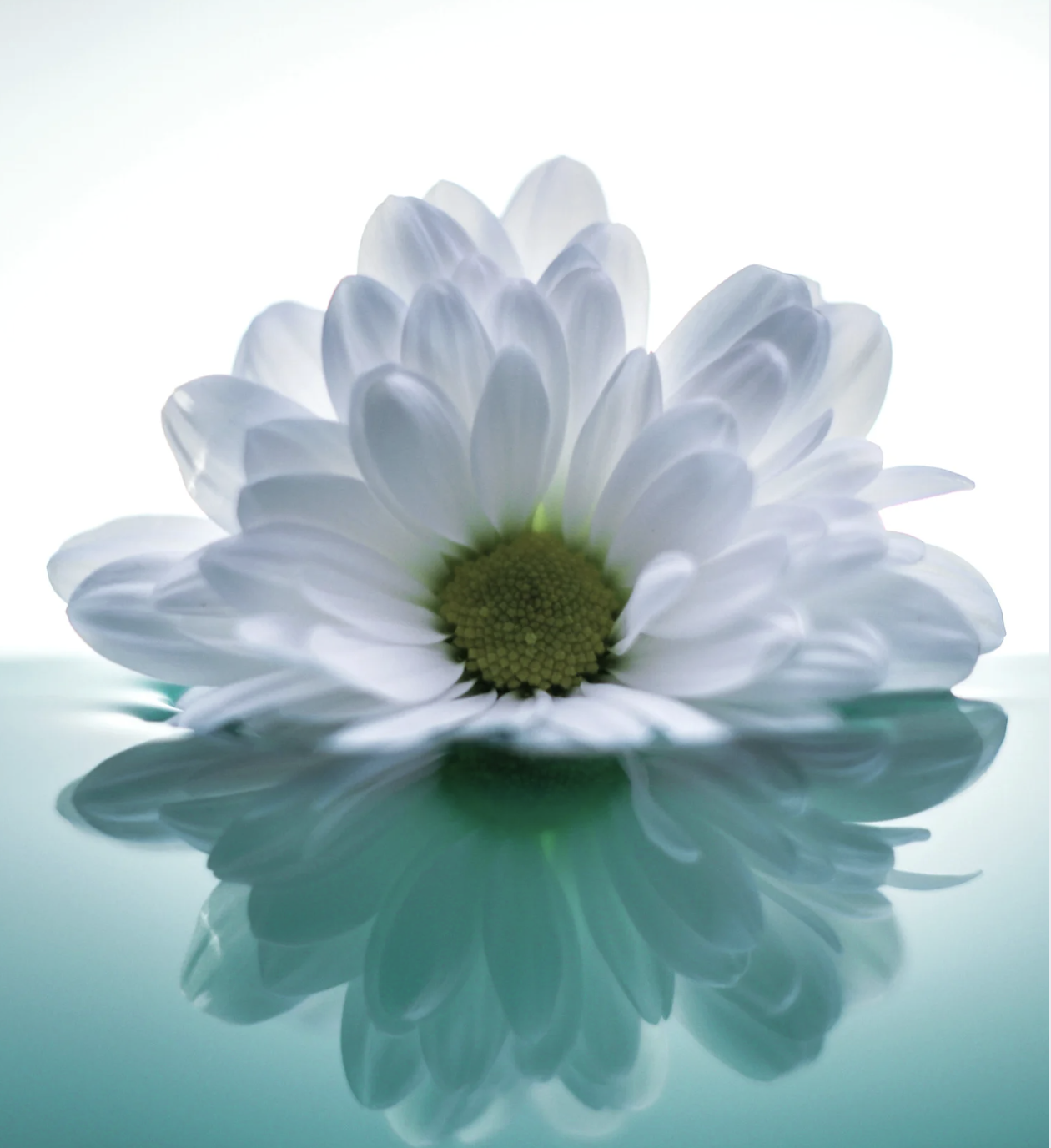 GesundheitsRaum_amLebensFluss-LebensWege