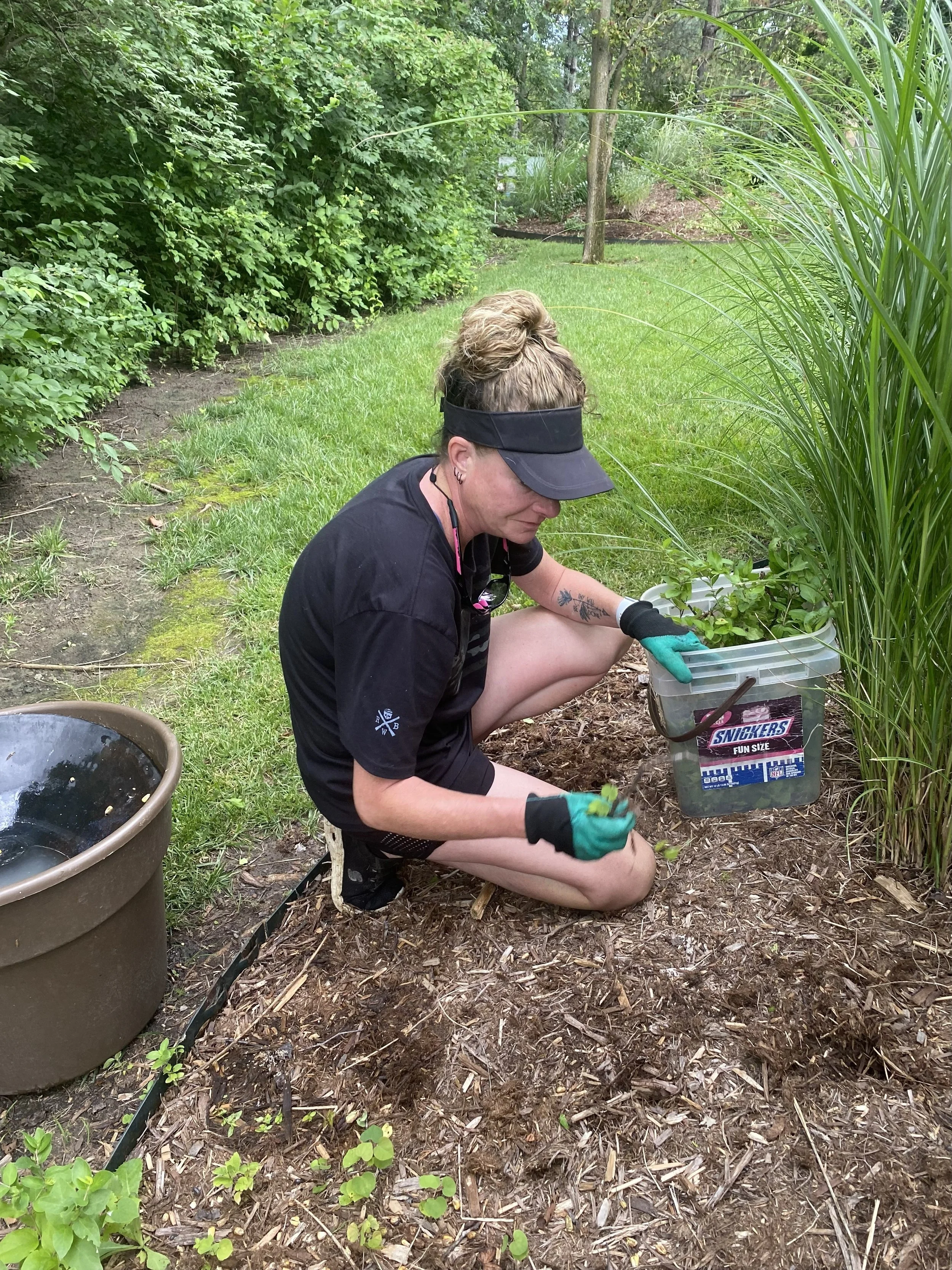 Garden Maintenance Consultation