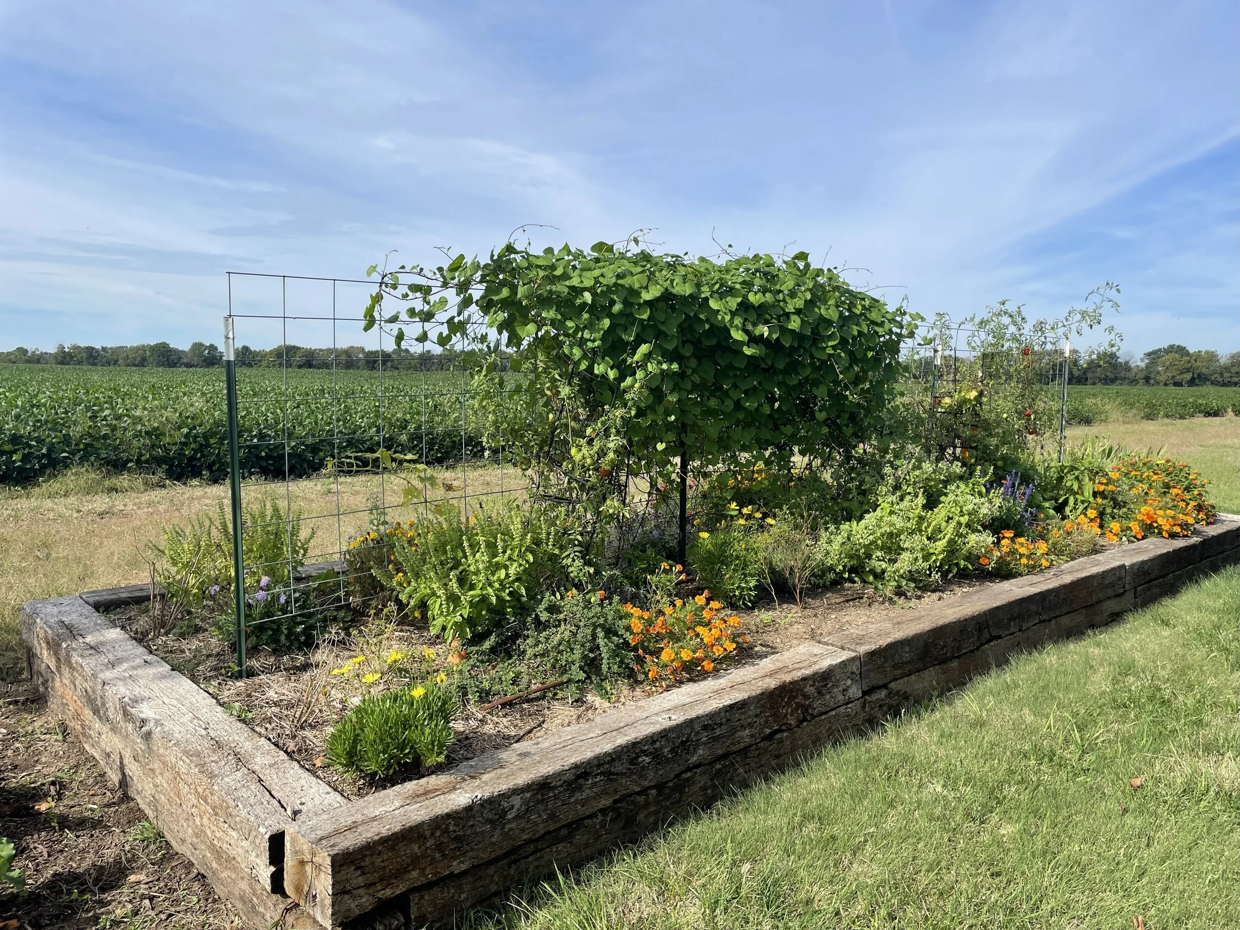 A raised garden bed filled with colorful flowers and green plants, surrounded by a grassy field and open sky.
