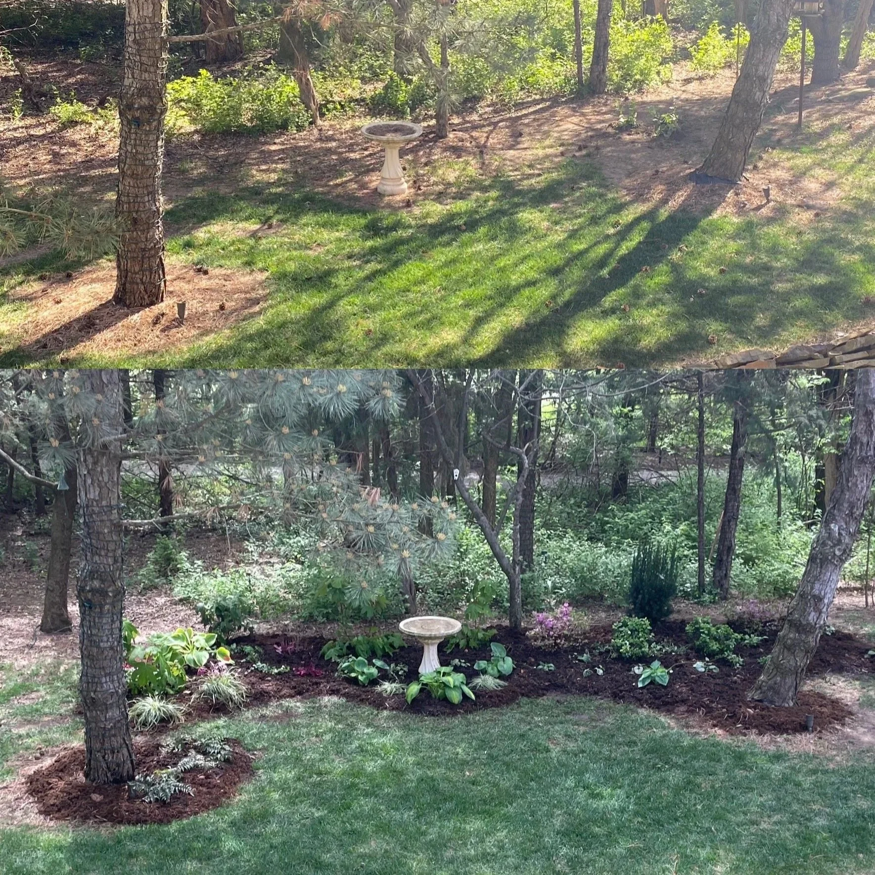 Comparison of a backyard before and after landscaping: the top shows a grassy yard with trees and a birdbath, the bottom shows a transformed garden with trees, flowering plants, and a birdbath.