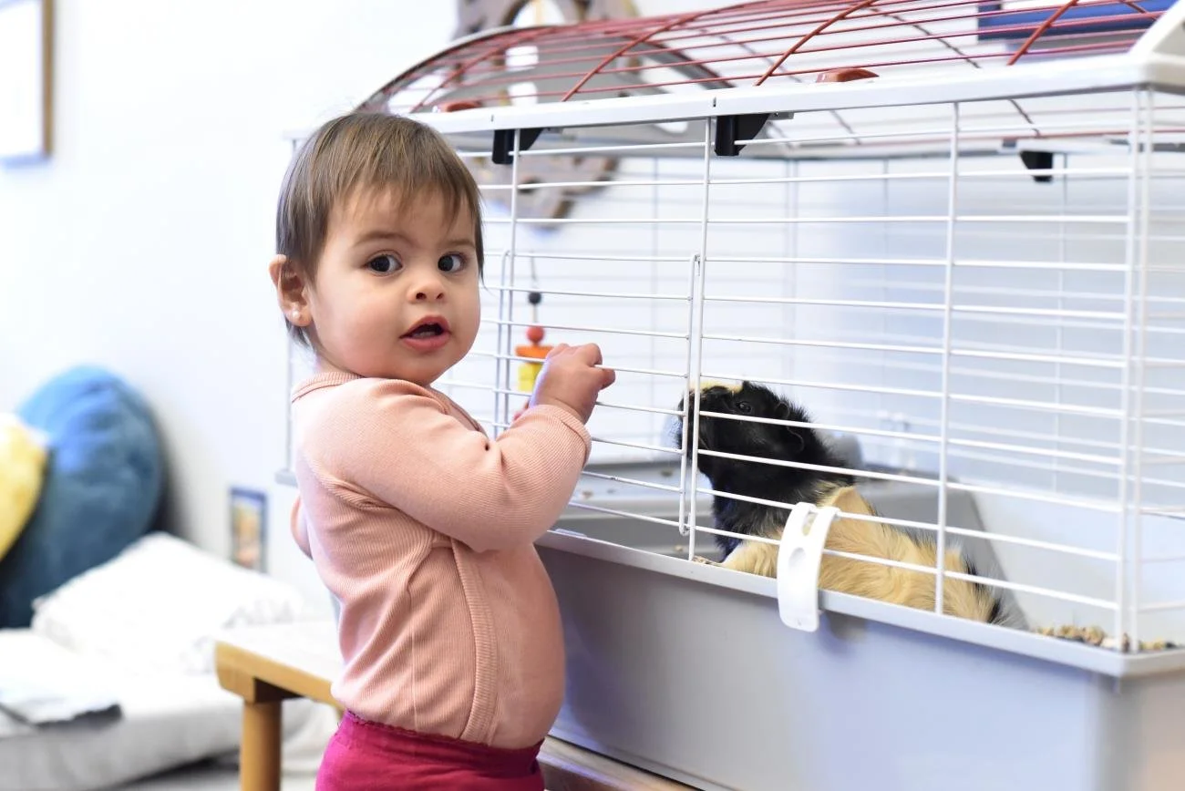 The Role of Classroom Pets in the Montessori Classroom