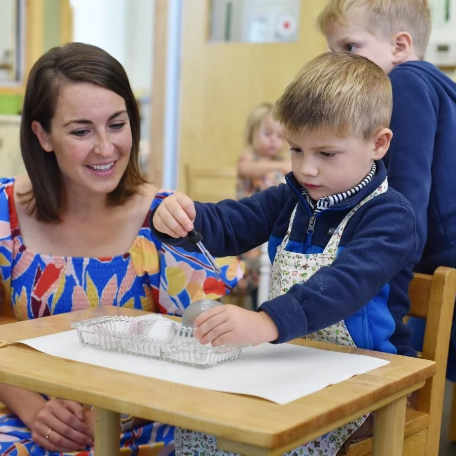 The Role of the Adult in a Montessori Classroom