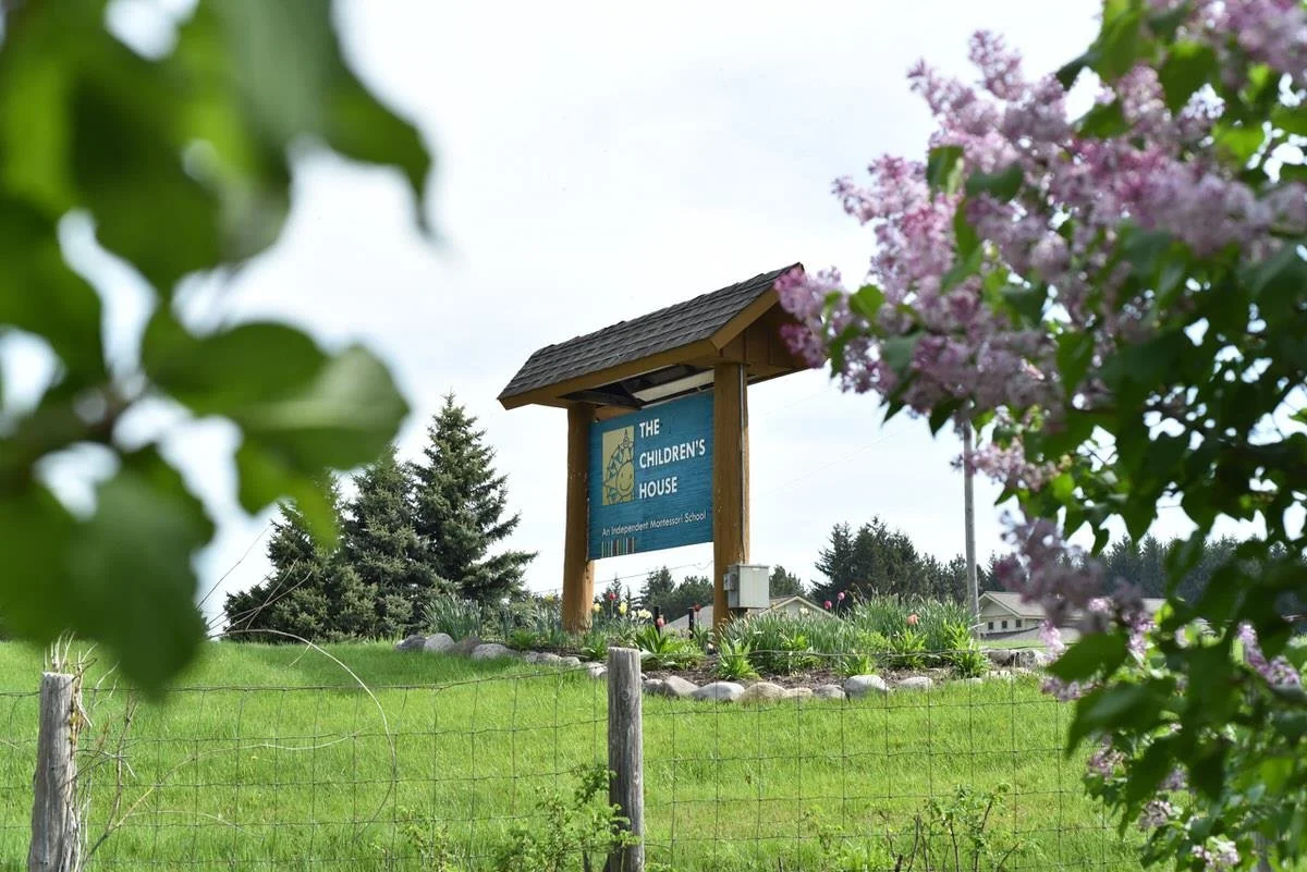 Being a Green School and What That Means for You