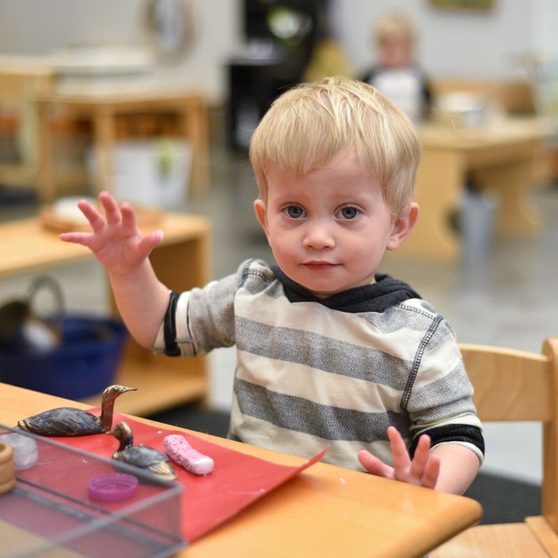 The Four Planes of Development