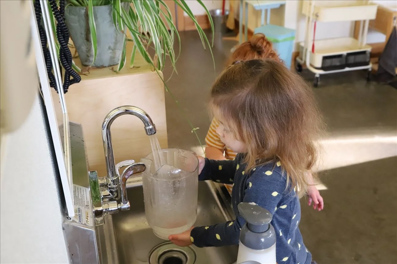 Fostering Independence