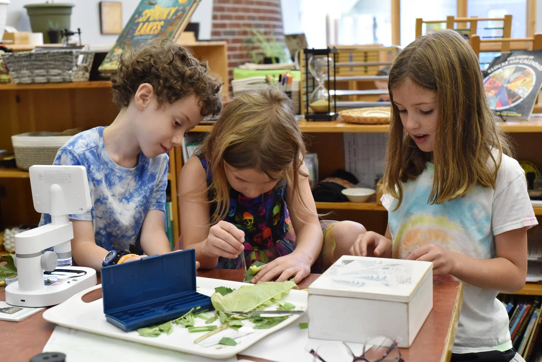 Elementary first grade School Montessori Traverse City (9).JPG