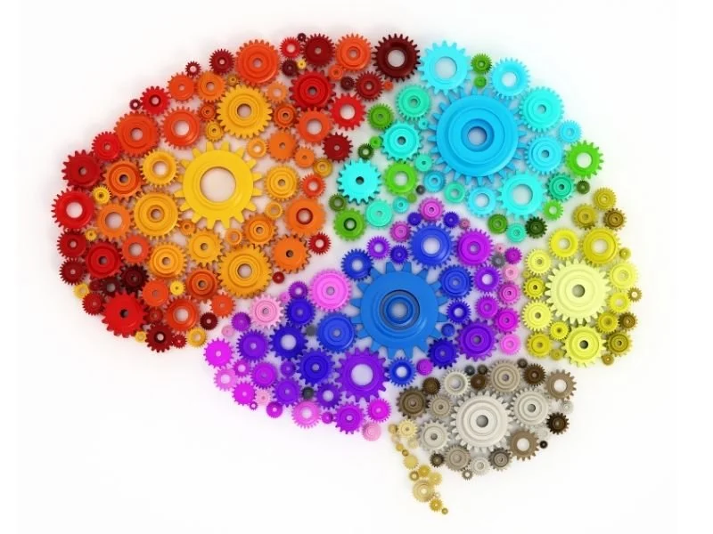 colorful image of brain using gears
