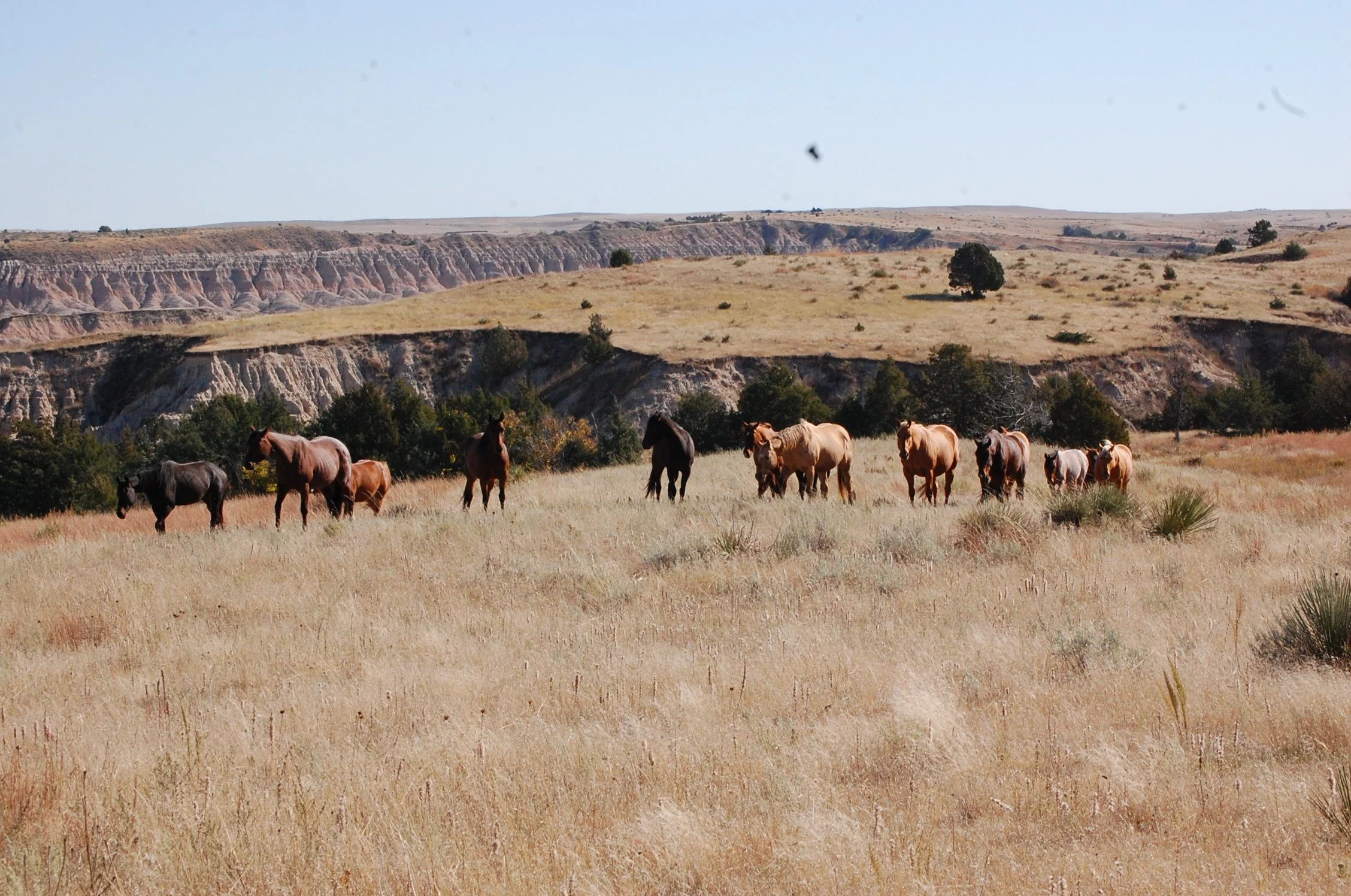 Photo Oct 20 2014, 11 13 21 AM.jpg