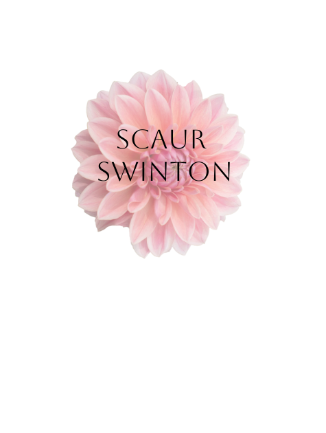 Scaur Swinton Dahlia Tuber