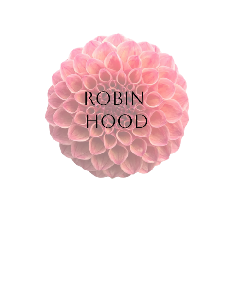 Robin Hood Dahlia Tuber