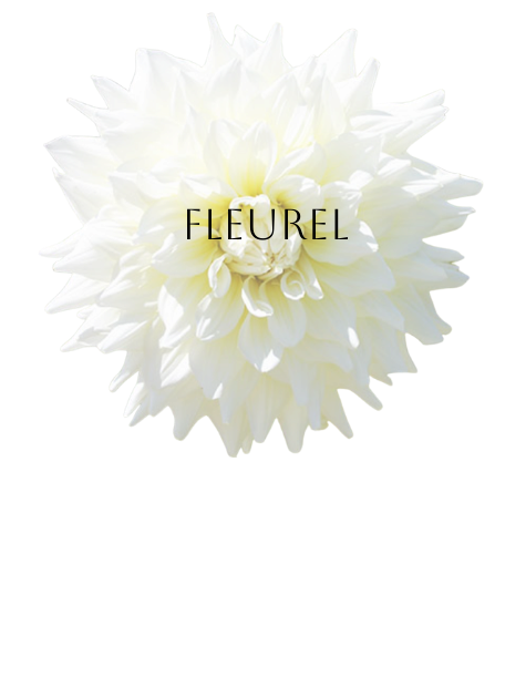 Fleurel Dahlia Tuber
