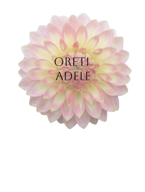 Oreti Adele Dahlia Tuber