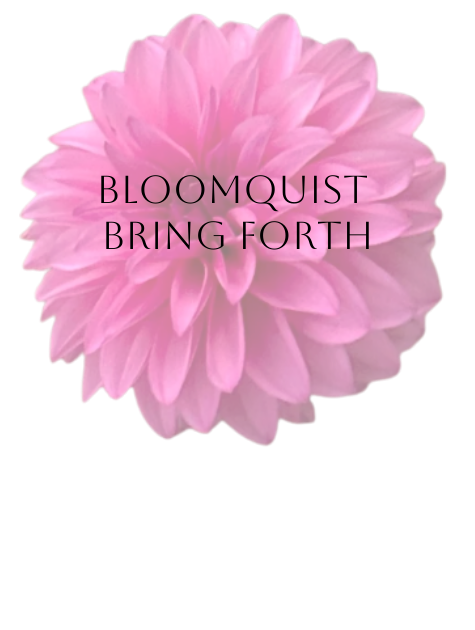 Bloomquist Bring Forth Dahlia Tuber