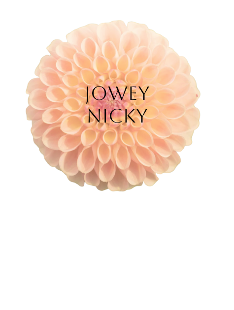 Jowey Nicky Dahlia Tuber