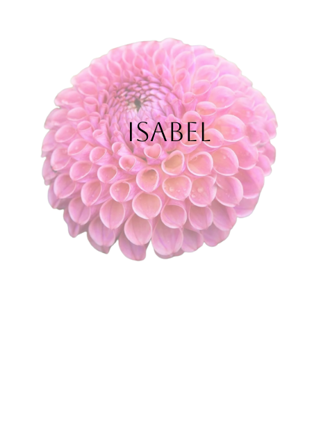 Isabel Dahlia Tuber