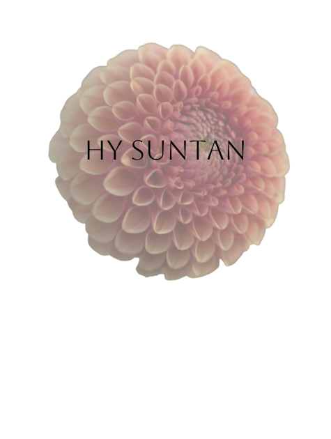 Hy Suntan Dahlia Tuber