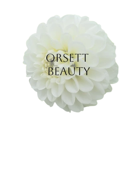 Orsett Beauty Dahlia Tuber