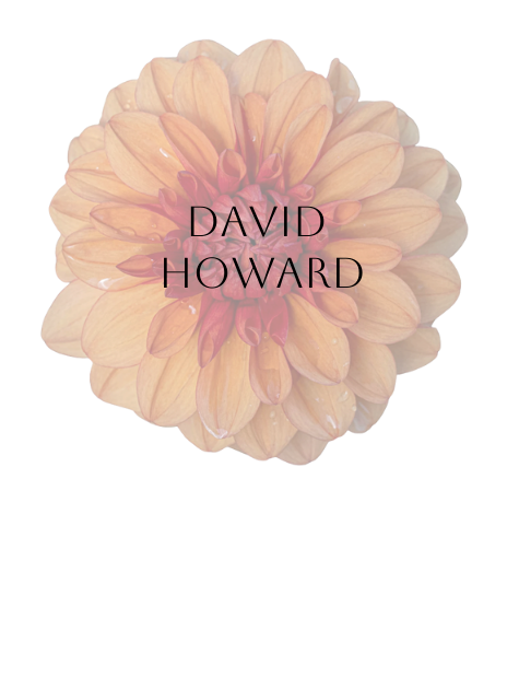 David Howard Dahlia Tuber