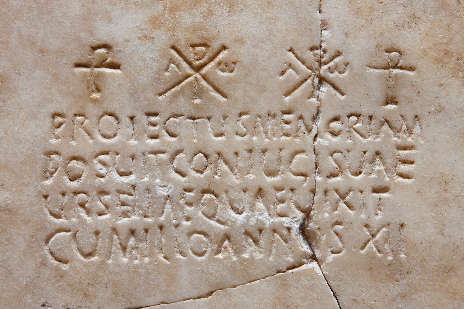 Lesson 3: 1st Declension Nouns Vocabulary