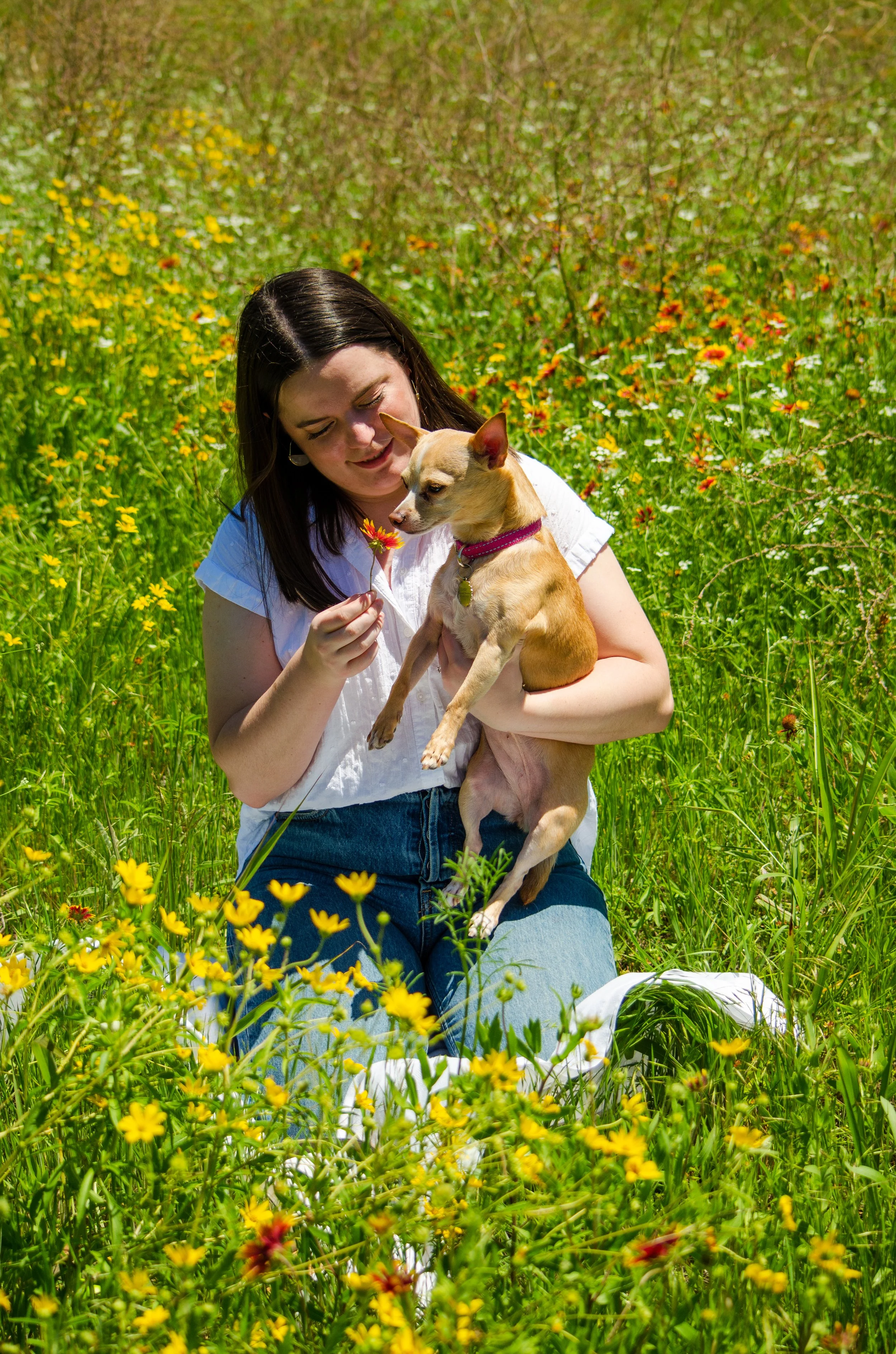 A woman kneeling in a field of yellow and red wildflowers, holding a small tan dog while looking at a yellow flower she is holding.