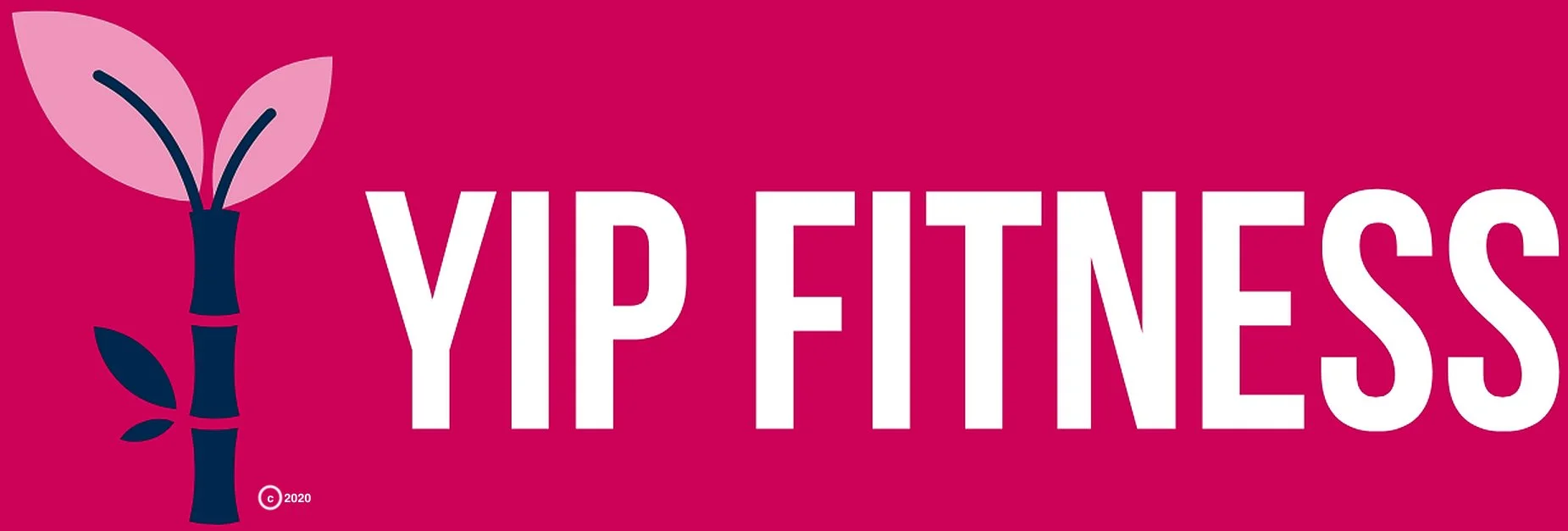 Online Zoom Fitness Workout Program