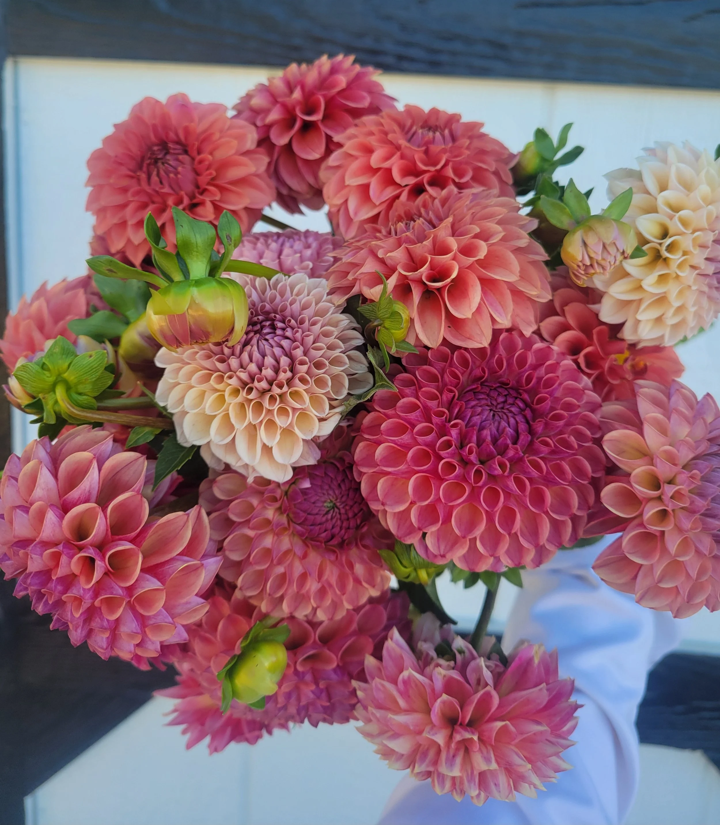 Gift Card Page Pic.jpg