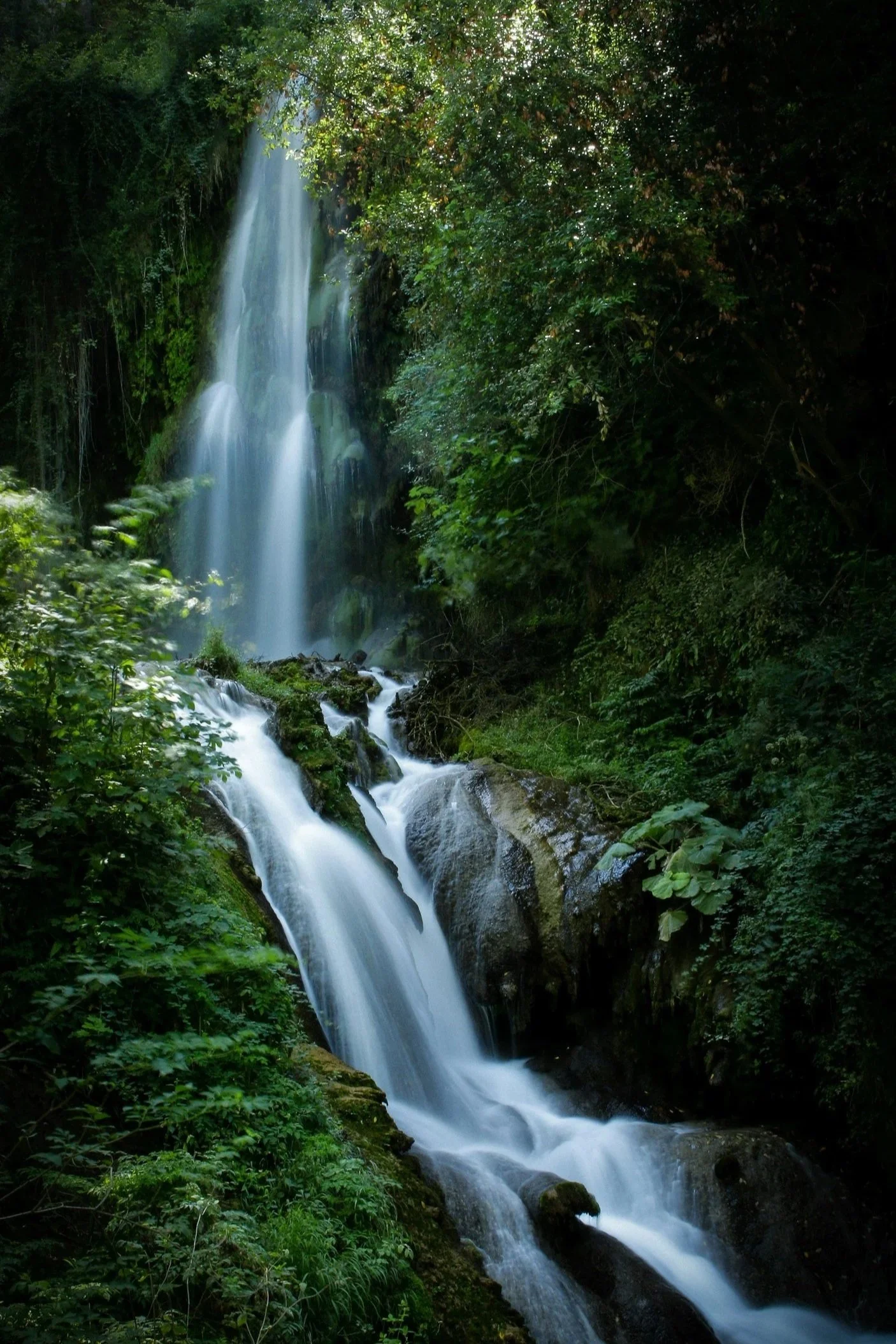 A tranquil forest scene with a small waterfall cascading into a clear, shallow creek surrounded by lush green trees and rocks.