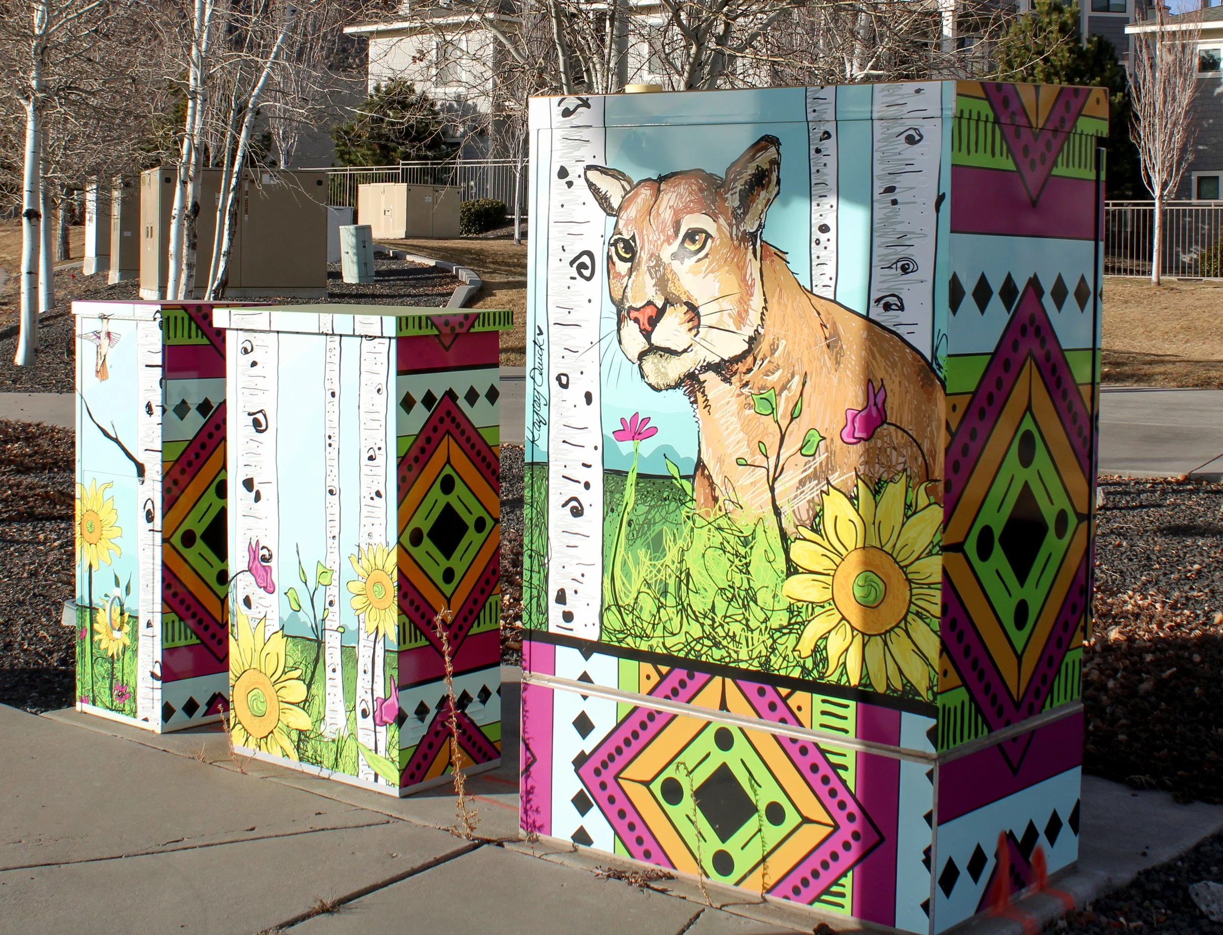 Vinyl mural on three electrical boxes on the intersection of Mall and Marketplace in Flagstaff, Arizona.