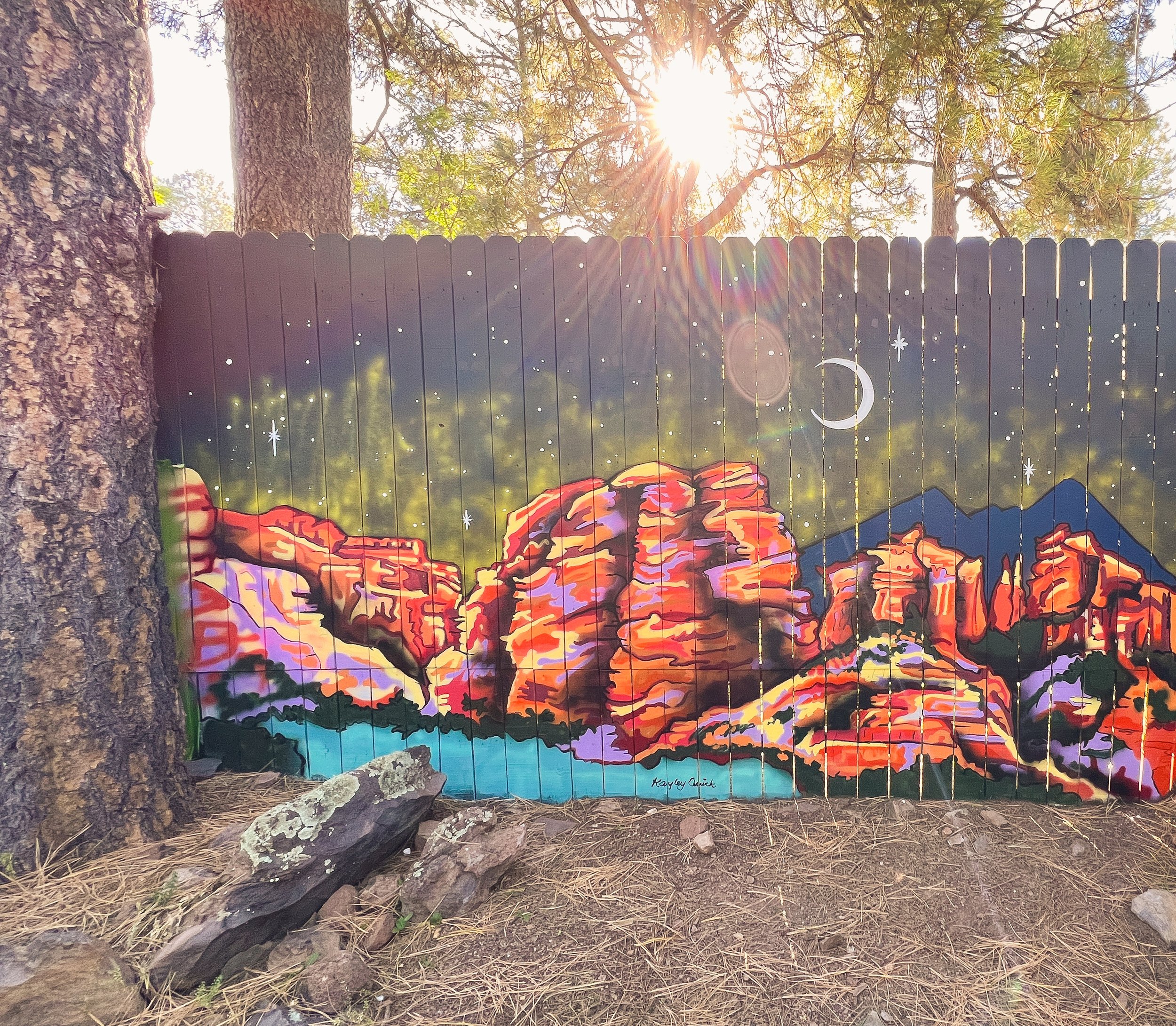 Painted mural on an AirBnB backyard fence by artist Kayley Quick in Flagstaff, AZ.