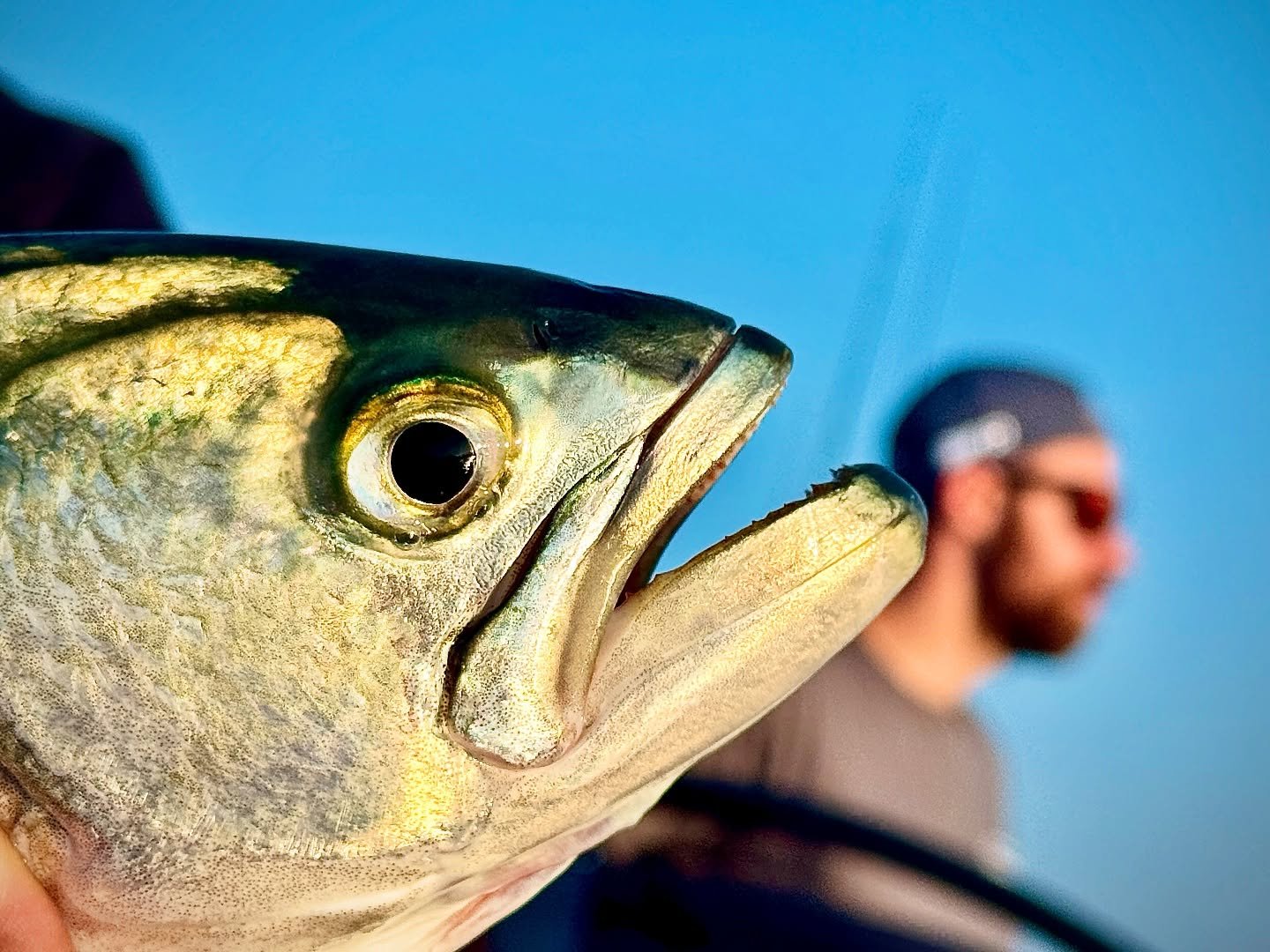 Last night went off.
Bluefish in full rage&mdash;slashing bait, launching skyward, going ballistic. We hit the zone just in time. No slow mo needed, it was pure chaos.

🎣 Caught from the boat &mdash; sunset, wind picking up, and the bite exploding.
