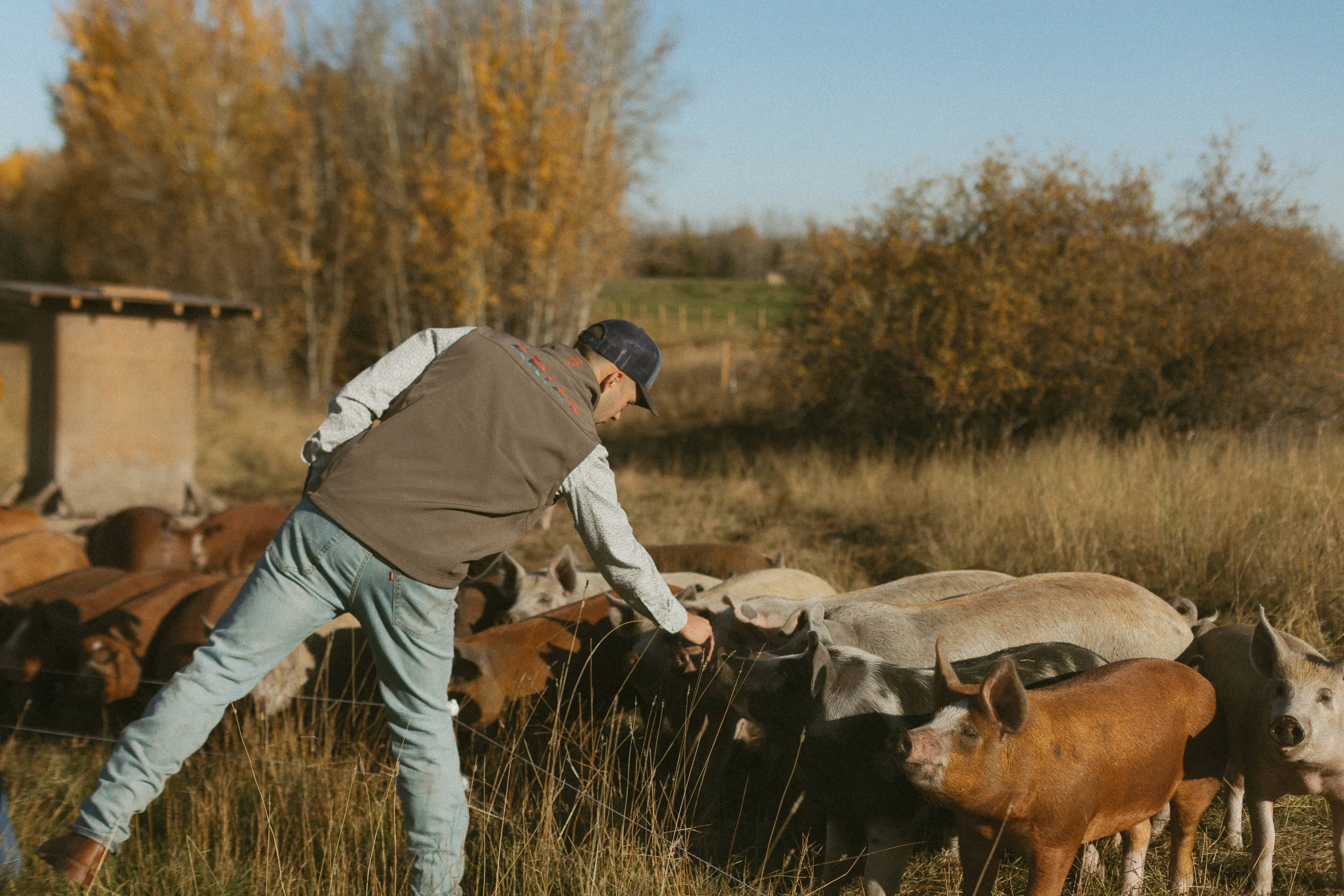Pasture Raised Pork (HALF PIG-DEPOSIT)