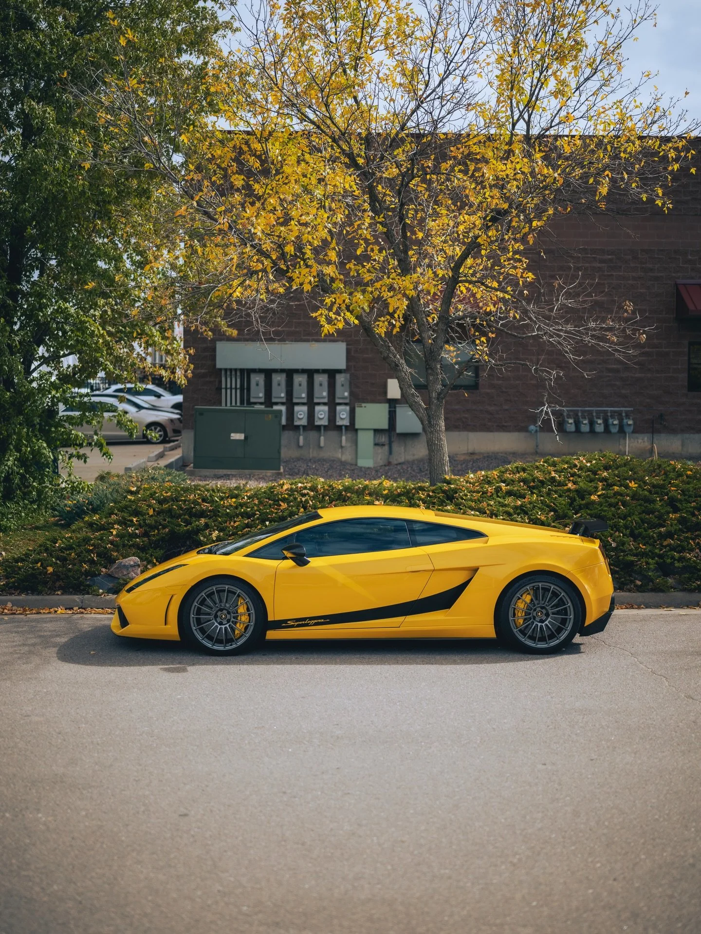Star Gazing 💫 
&bull;
This Beautiful 2008 Lamborghini Gallardo Superleggera Came to us for a Pre Purchase Inspection and a full round of routine service!!
&bull;
This Lamborghini left here for California in better shape than ever and with up to date