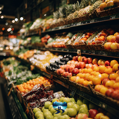 From Grocery Runs to Medical Visits: Everyday Support That Keeps Seniors Thriving