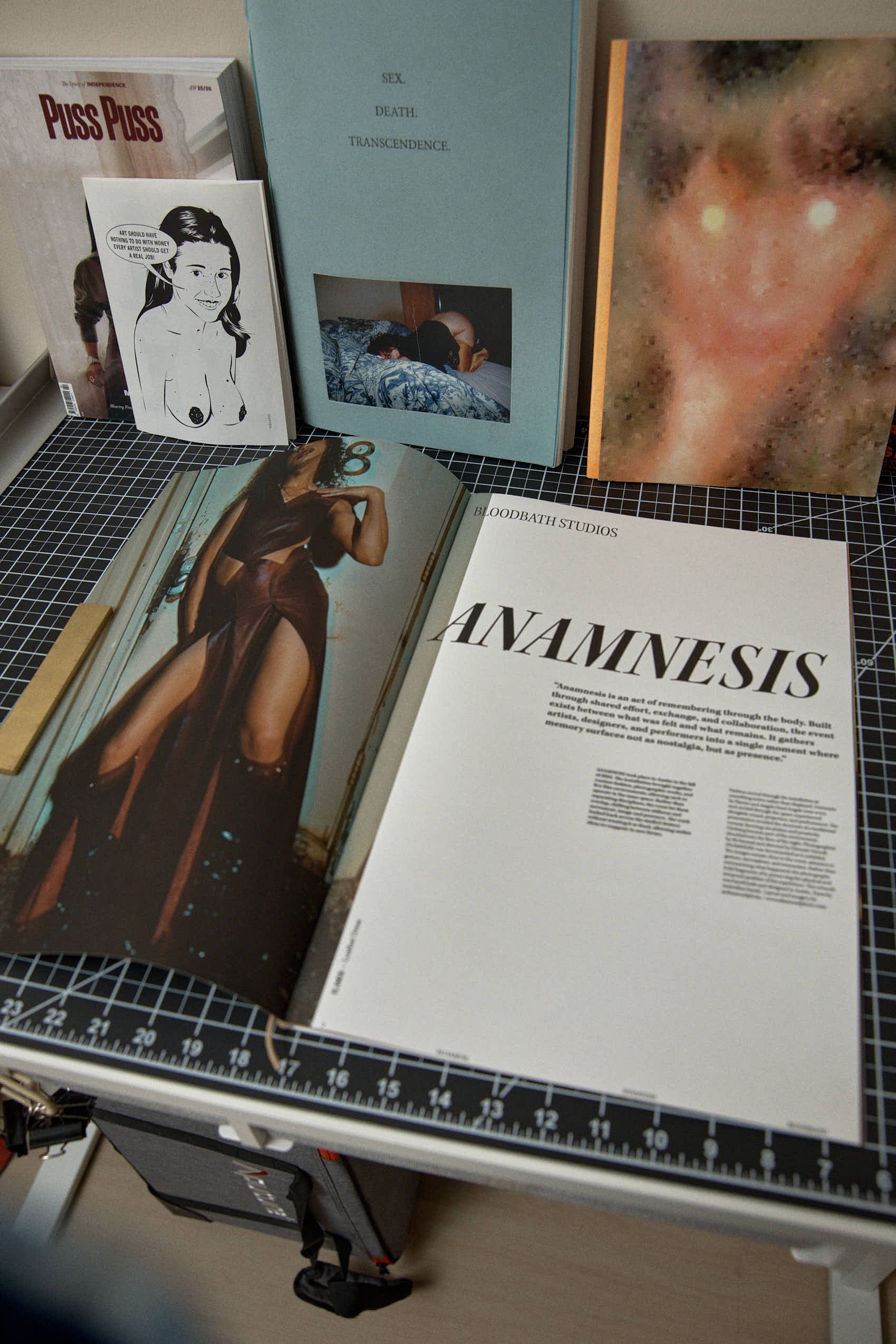 Open magazine with a woman in a dress with high slits, posing by a door. Behind her is a wall with paintings. Surrounding it are various books and artworks on the table, including a book titled 'Anamnesis' and another with the title 'Puss Puss.'