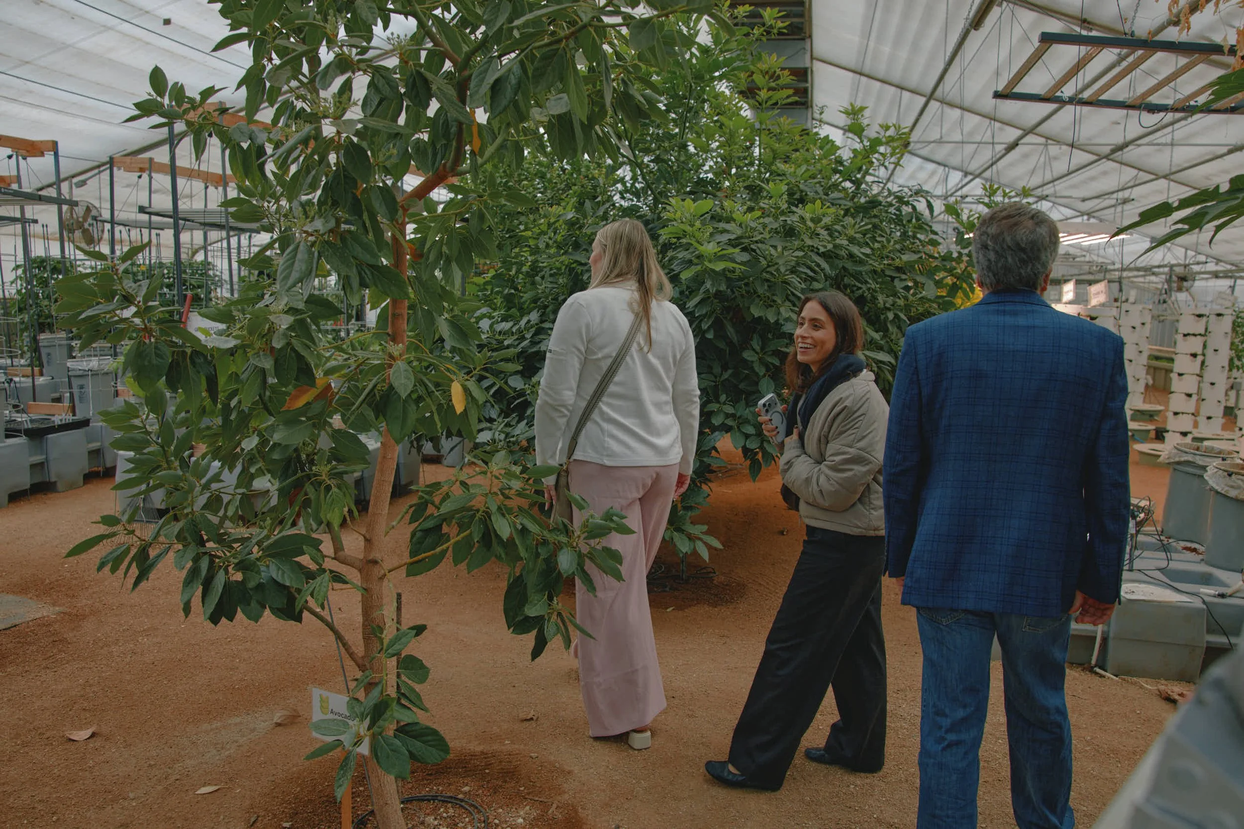Three people walking through a greenhouse filled with lush green plants, one woman smiling and holding a device, with a man in a blue blazer and another woman in a white jacket.