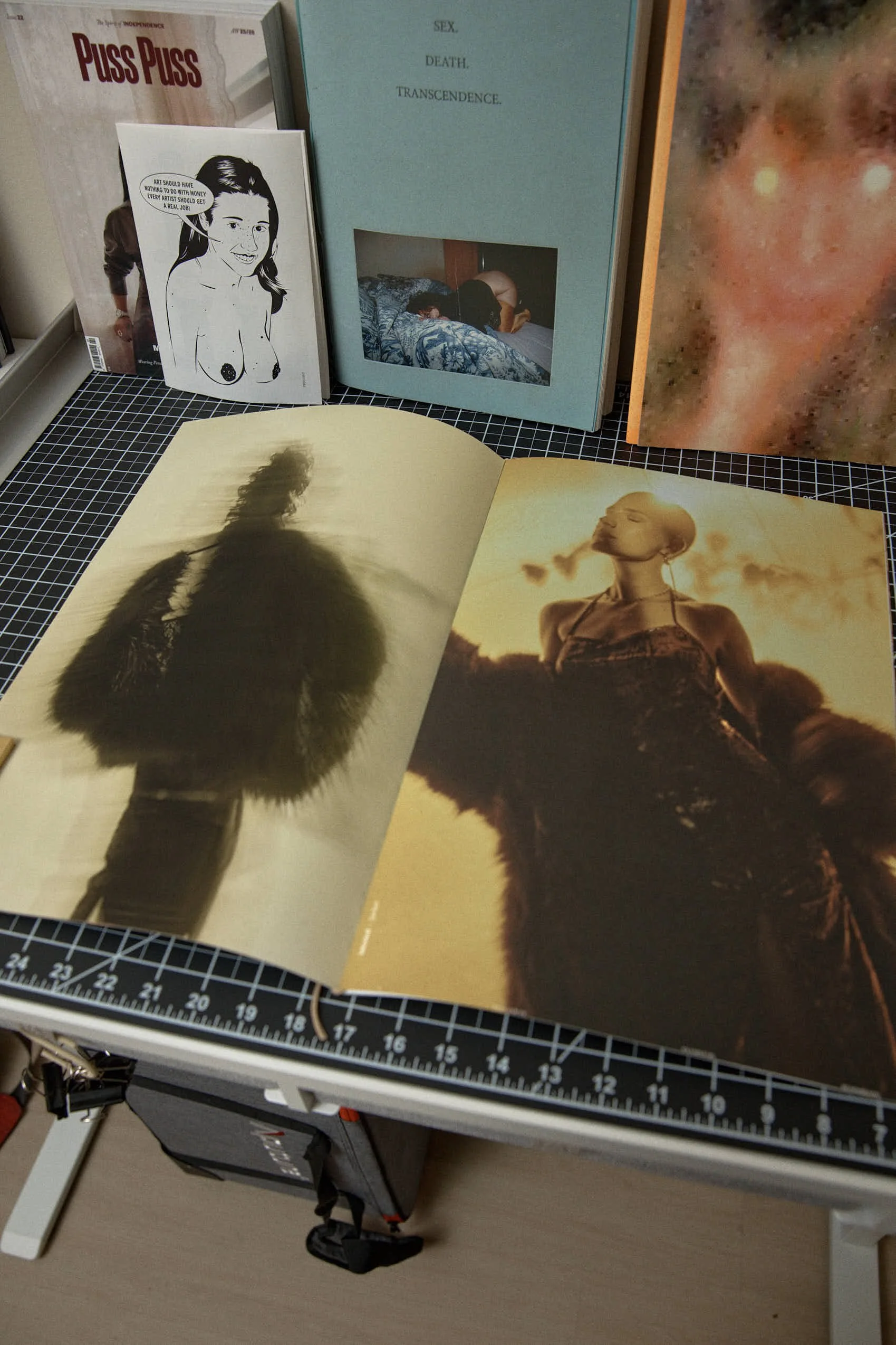 Open magazine with two artistic photos of a woman, one with blurred silhouette and the other with a confident pose against a sunset background. In the background, a bookshelf contains several books, including one titled 'Puss Puss' and another with the words 'SEX, DEATH, TRANSCENDENCE' on its cover.