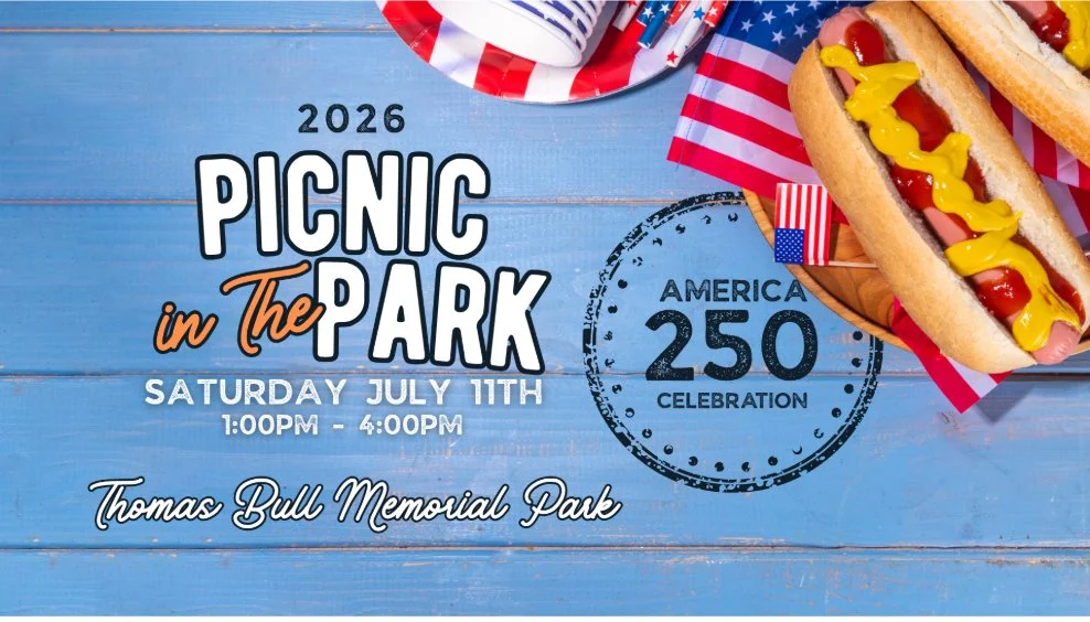 Orange County Democratic Picnic in the park