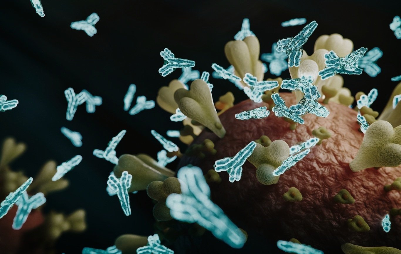 Unleashing the Immune System to Fight Against Cancer