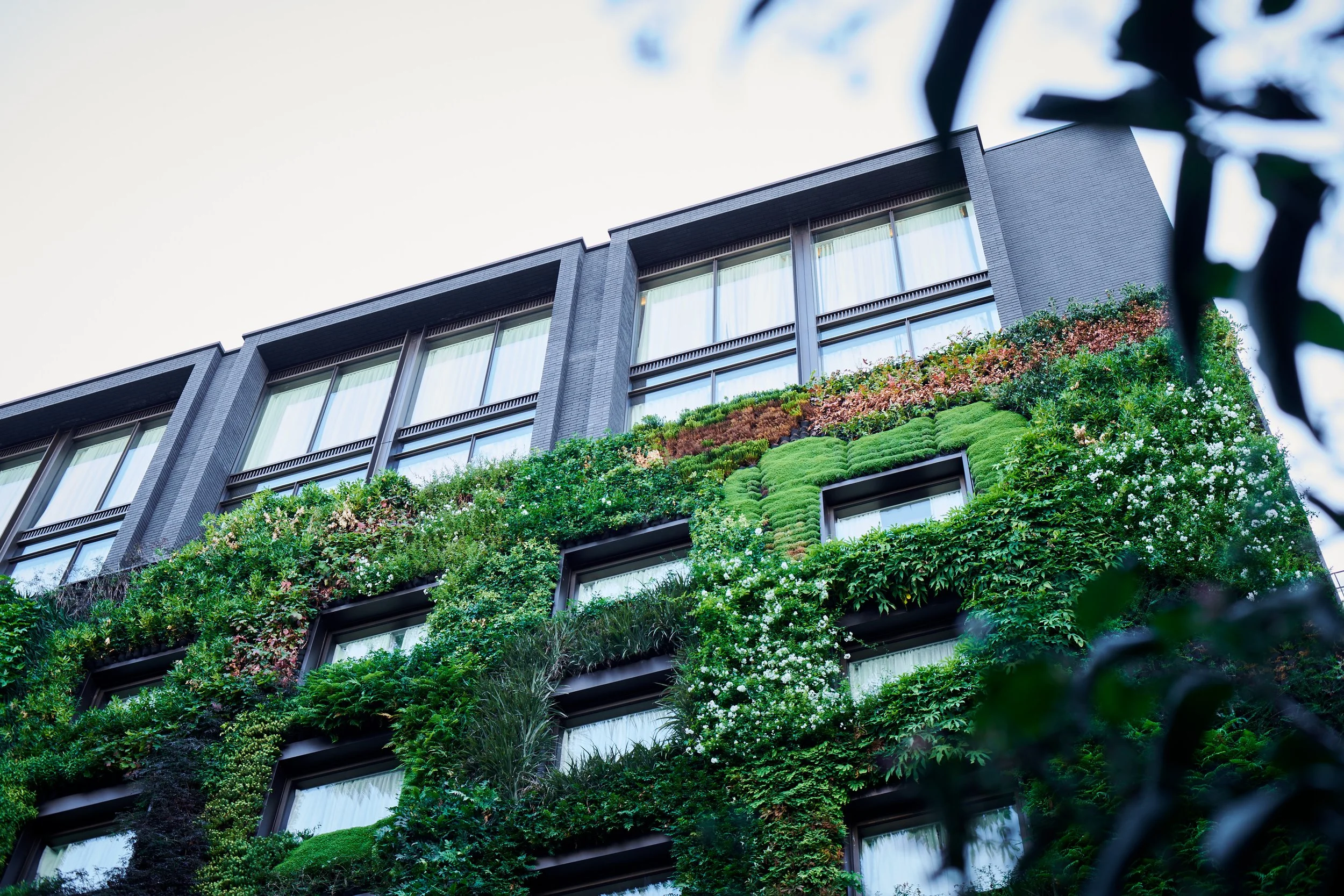 1 Hotels_LDN_Walk_About_0002.jpg