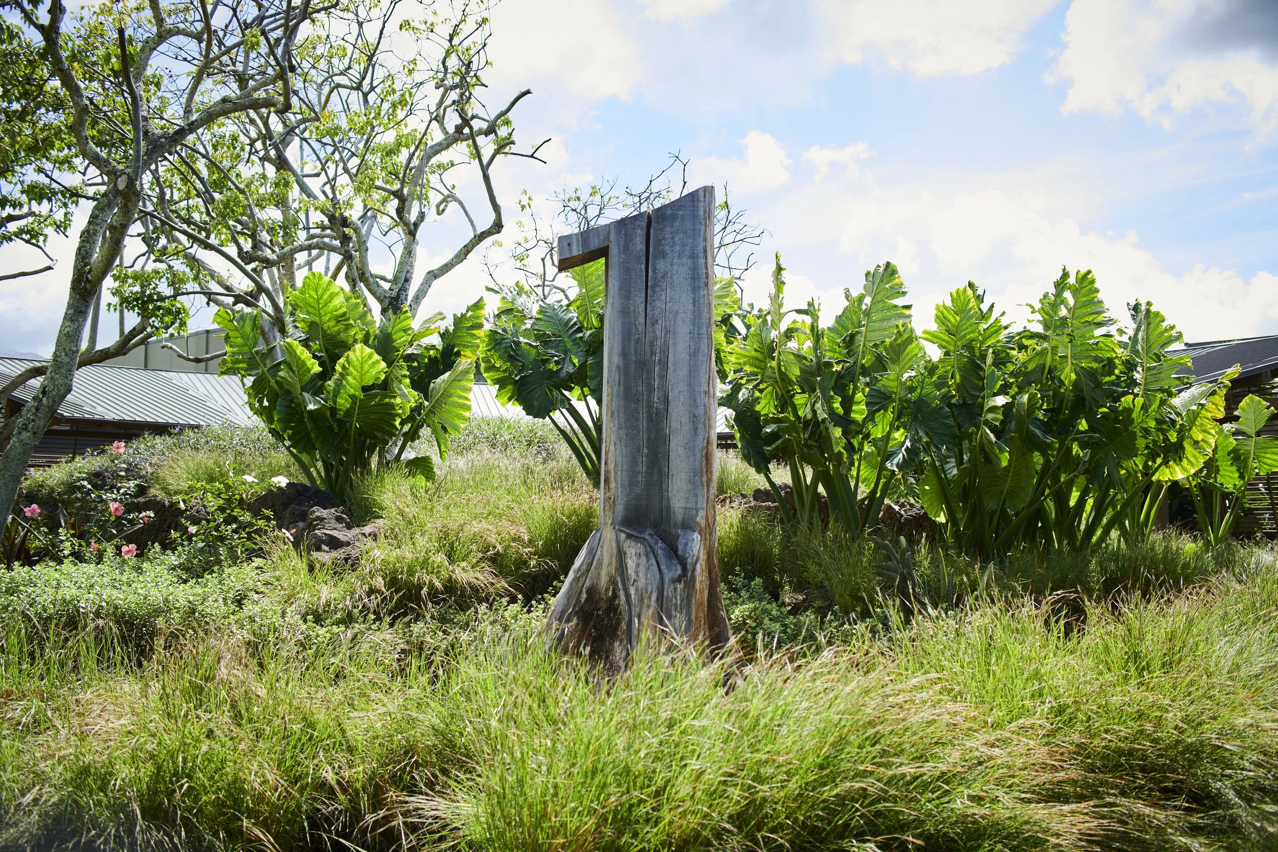 1 Hotel_HW_Walkabout_05_Architecture_0365.jpg