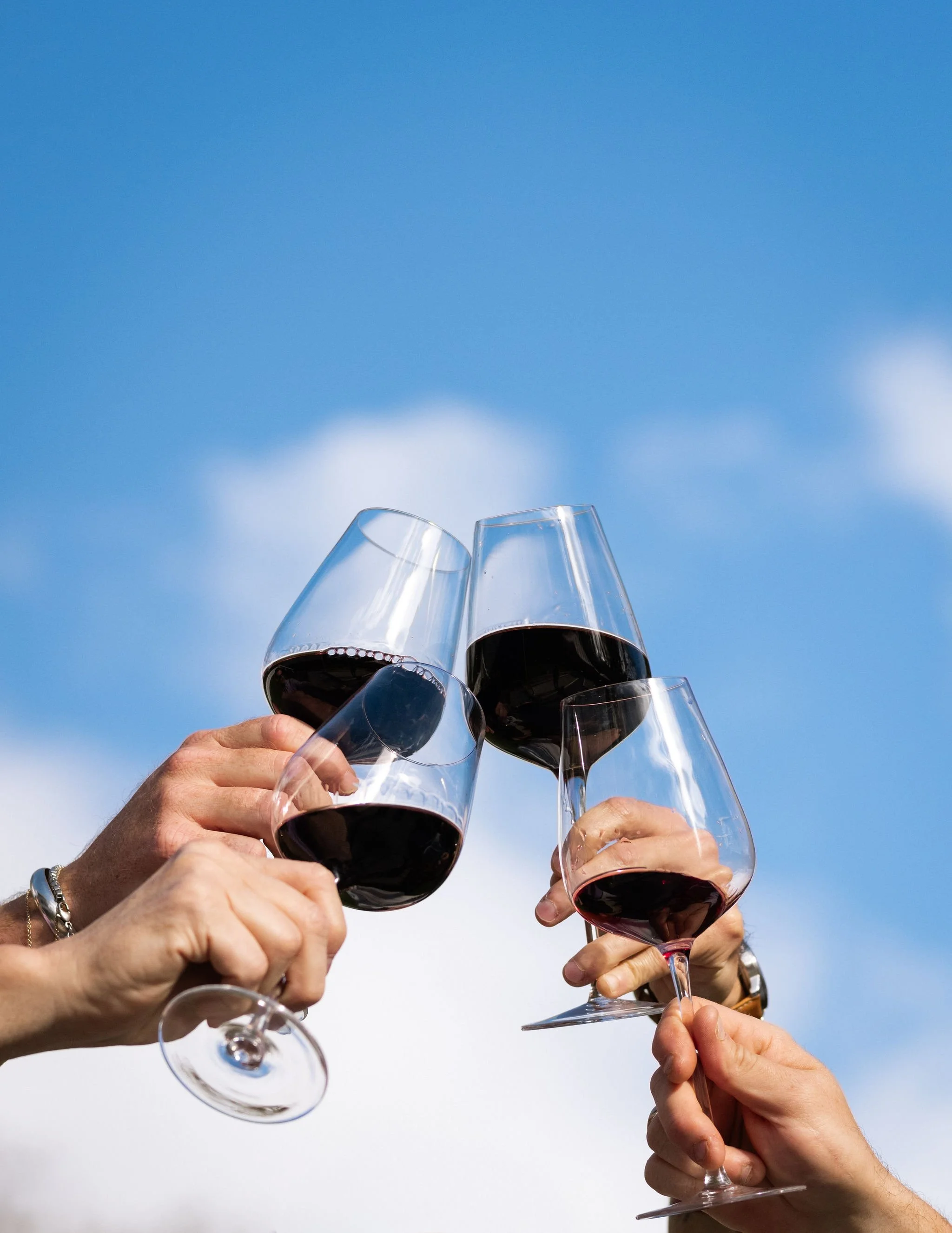 Four hands are holding wine glasses filled with red wine, raised in a toast against a blue sky background.