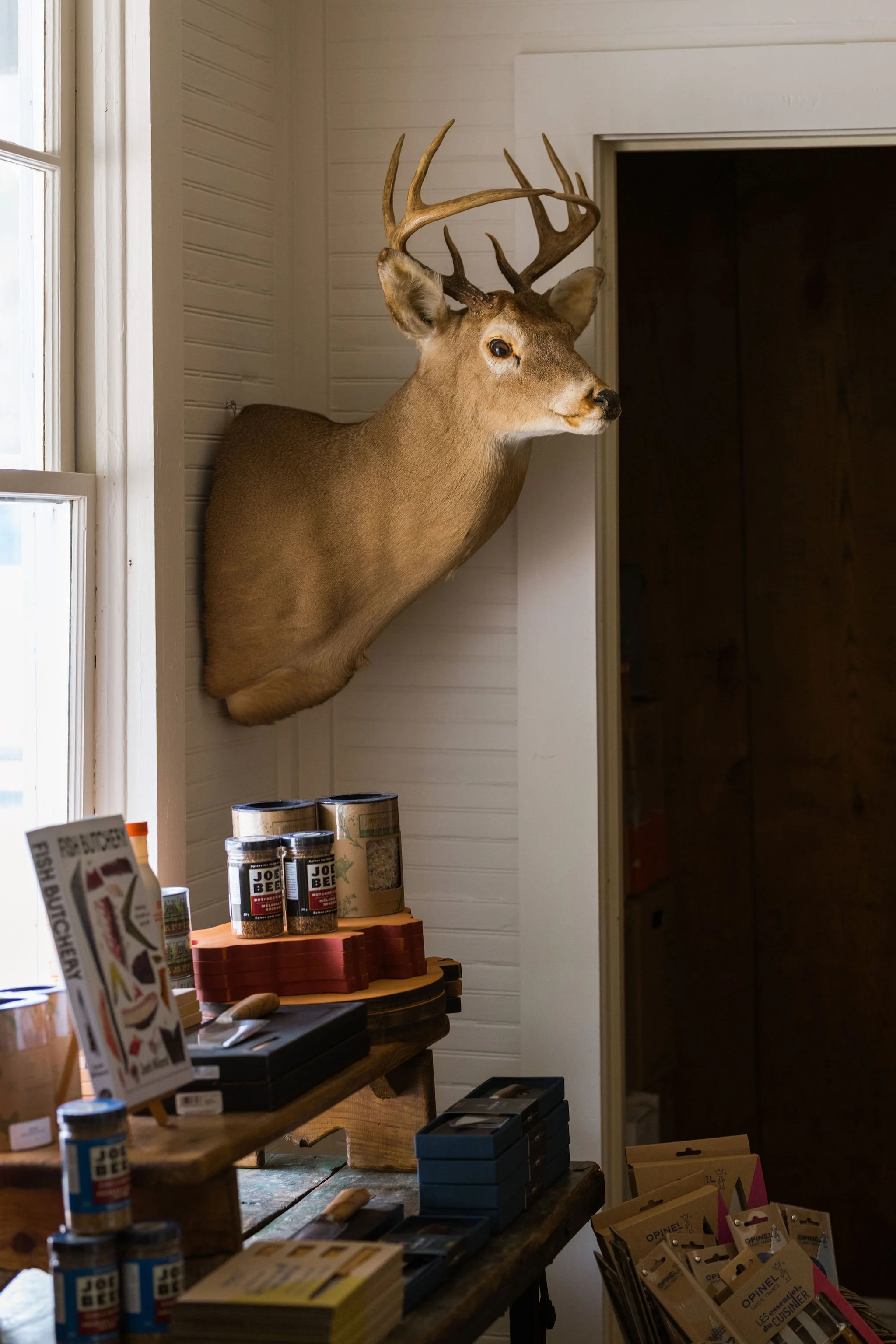 A mounted deer head with antlers on a white wall in a room with wooden walls and shelves, with various canned and packaged products on a wooden table below.