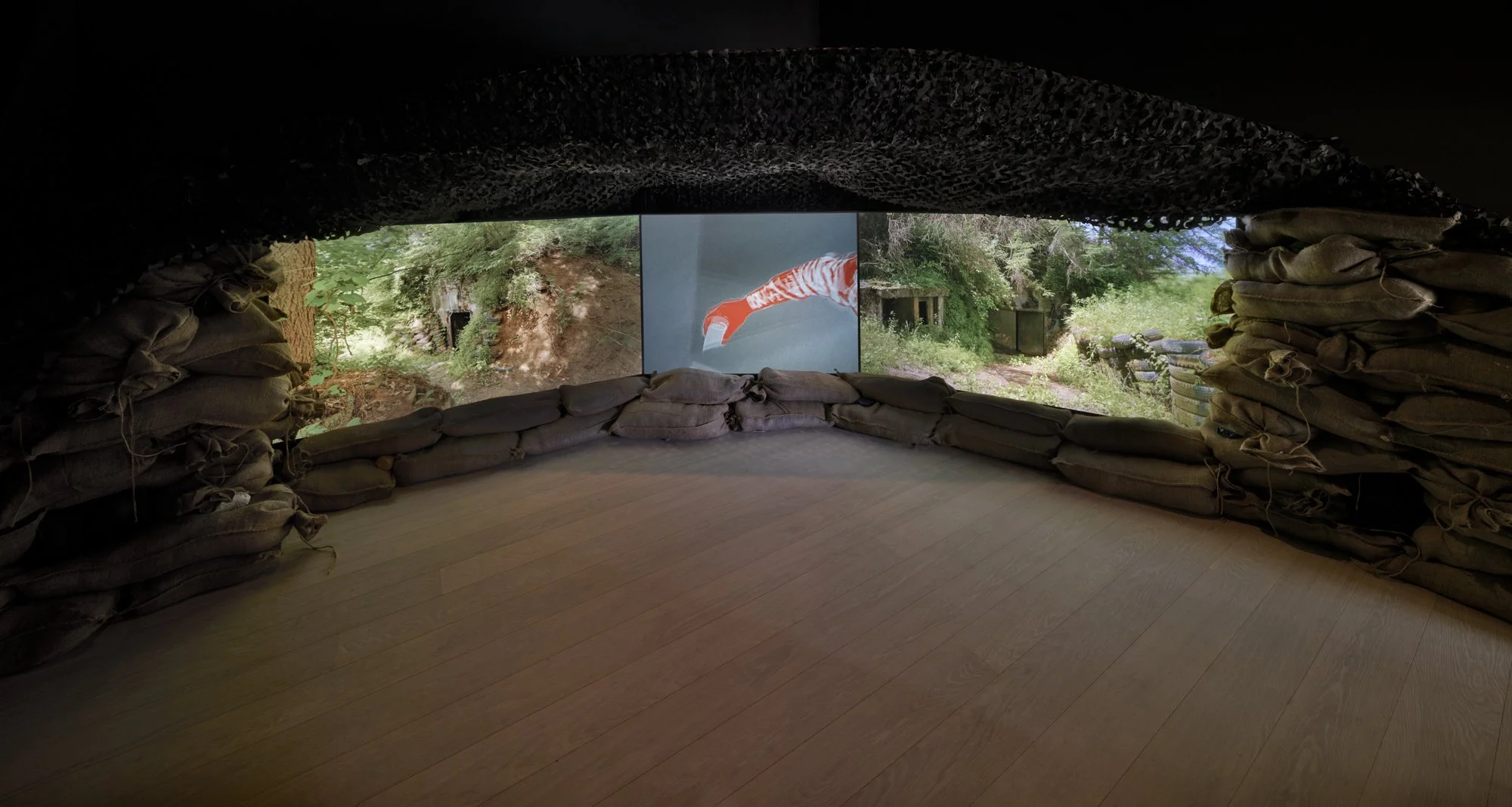 As the Crane Flies Bunker (Sonic Transformations)