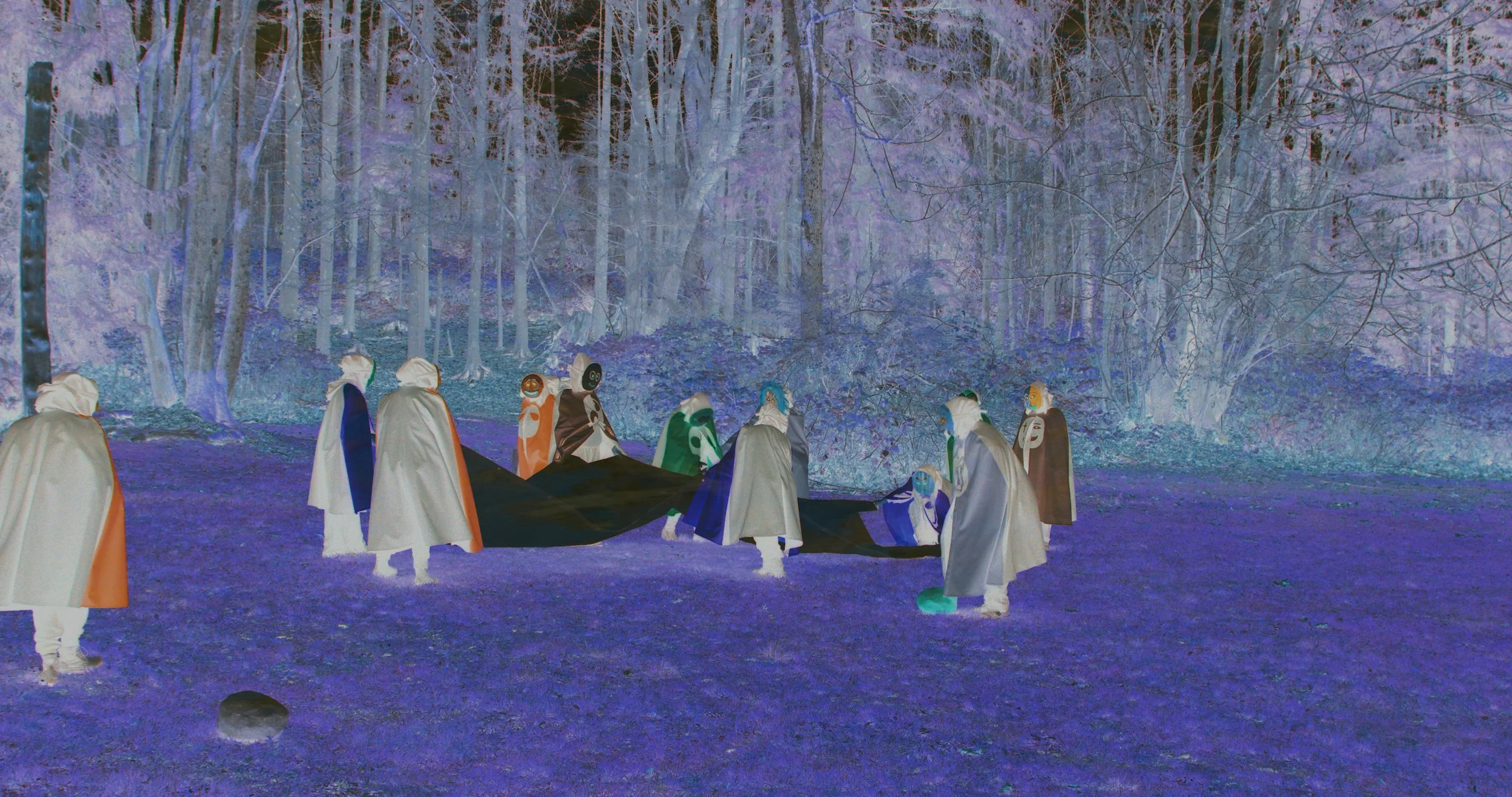 Copy of TimeFreed_Still02.jpg