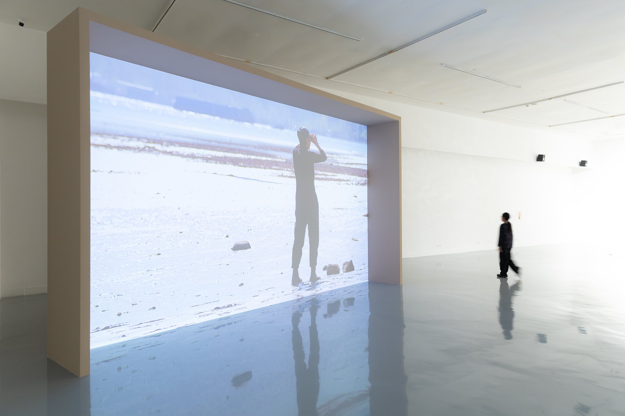 Dreaming Birds Know No Borders