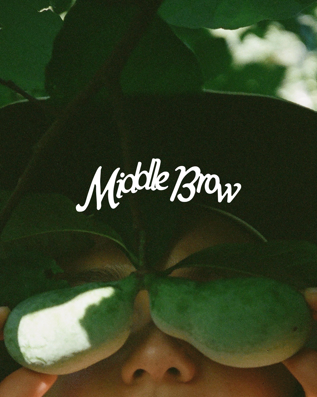 Middle Brow