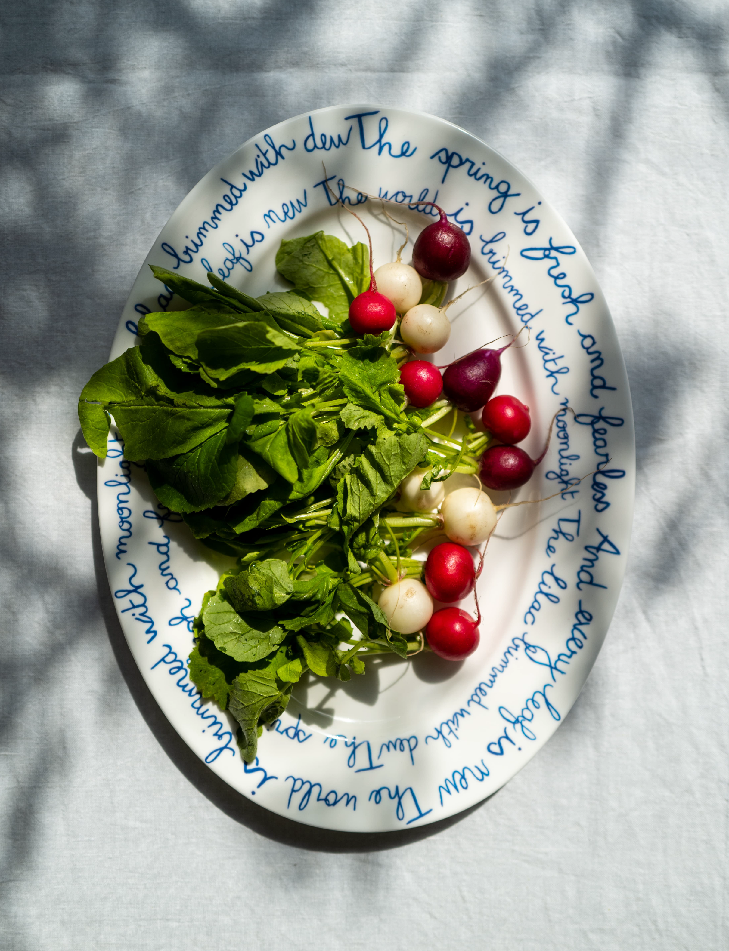  The Sette 
special projects
 special projects 