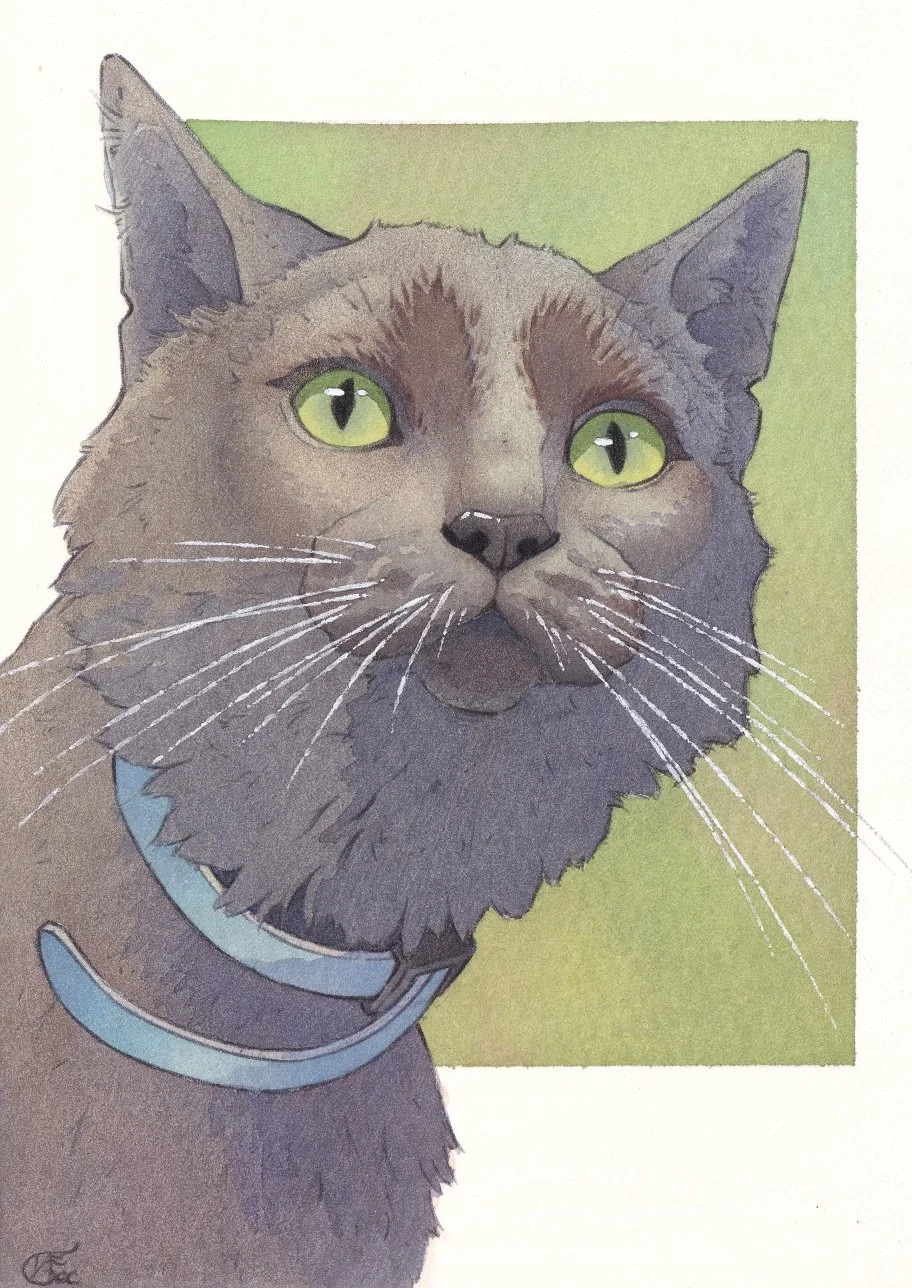 A traditionally drawn and painted illustration of a grey cat pet portrait set against an abstract natural green background. The illustration was drawn in pen and painted in watercolours.